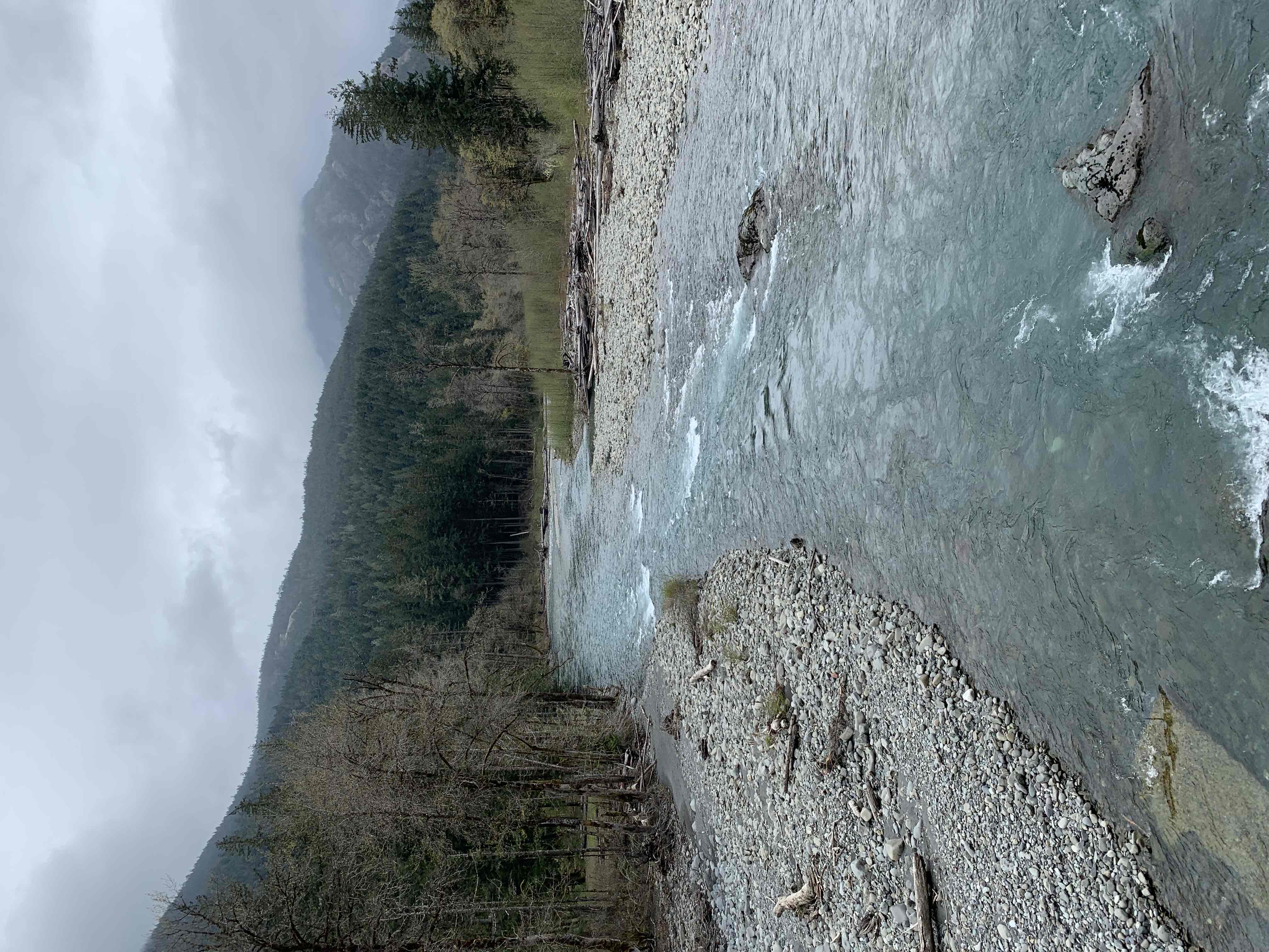 West Elwha River Trail