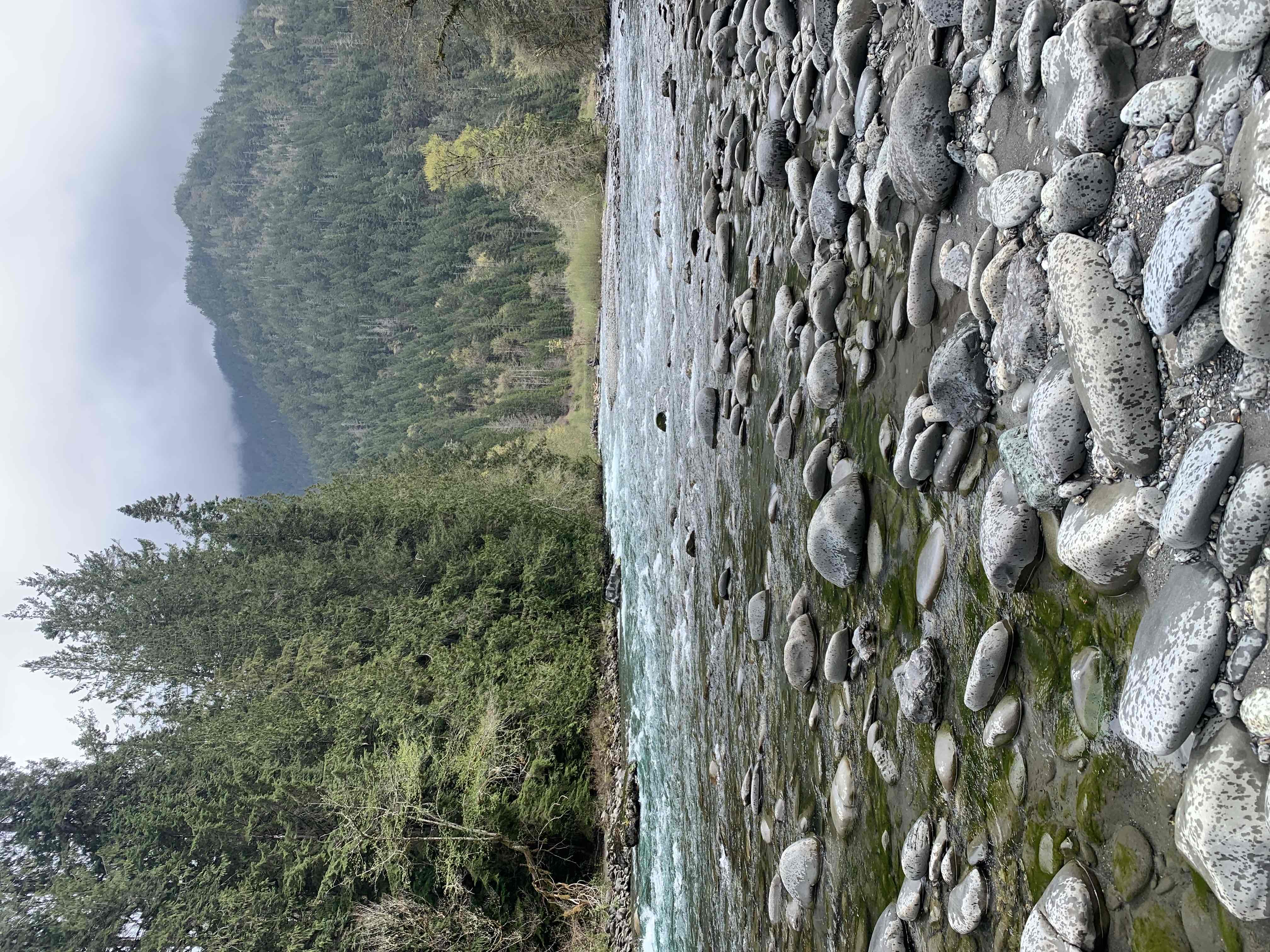 West Elwha River Trail