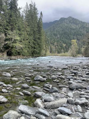 West Elwha River Trail