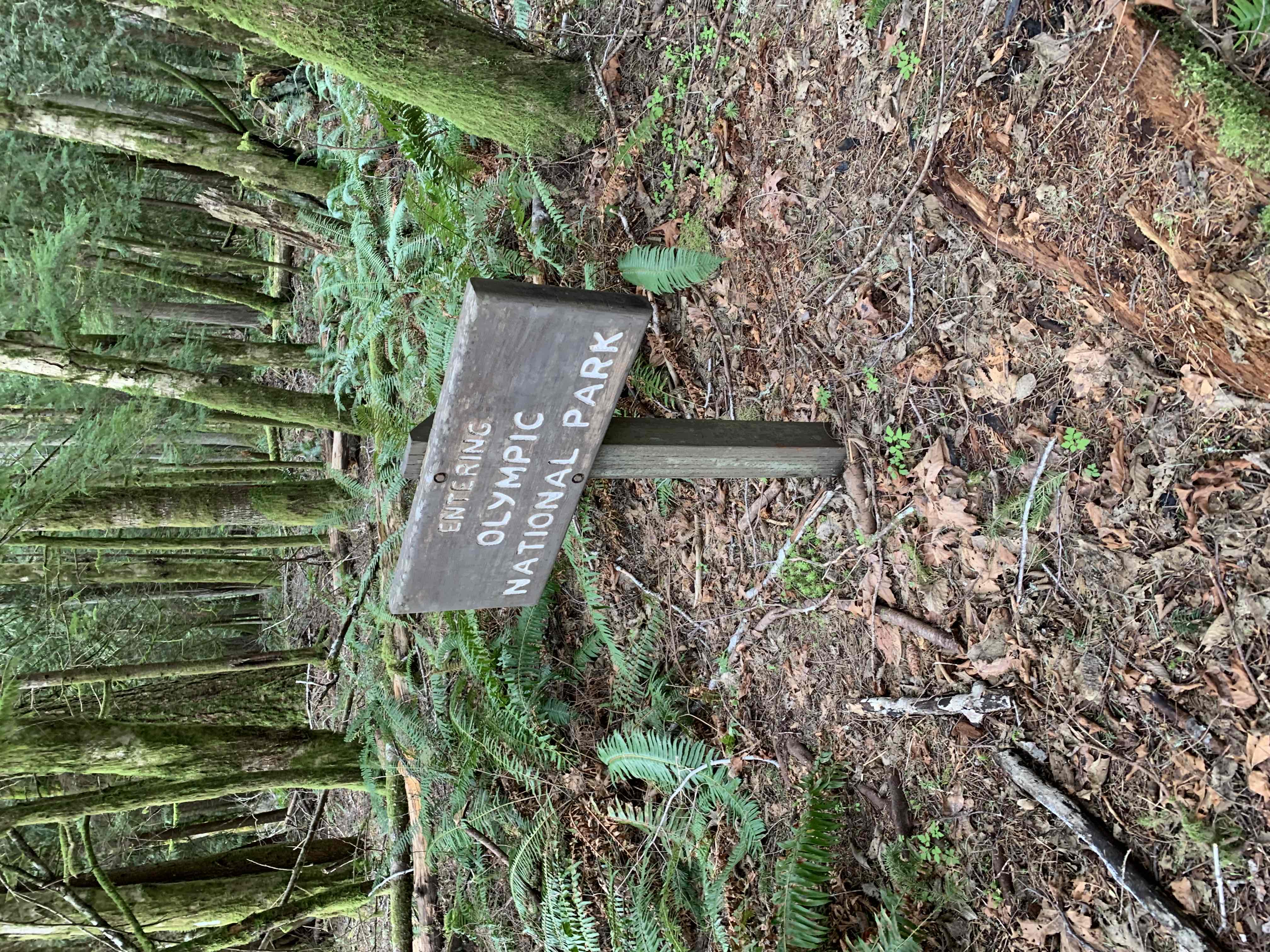 West Elwha River Trail