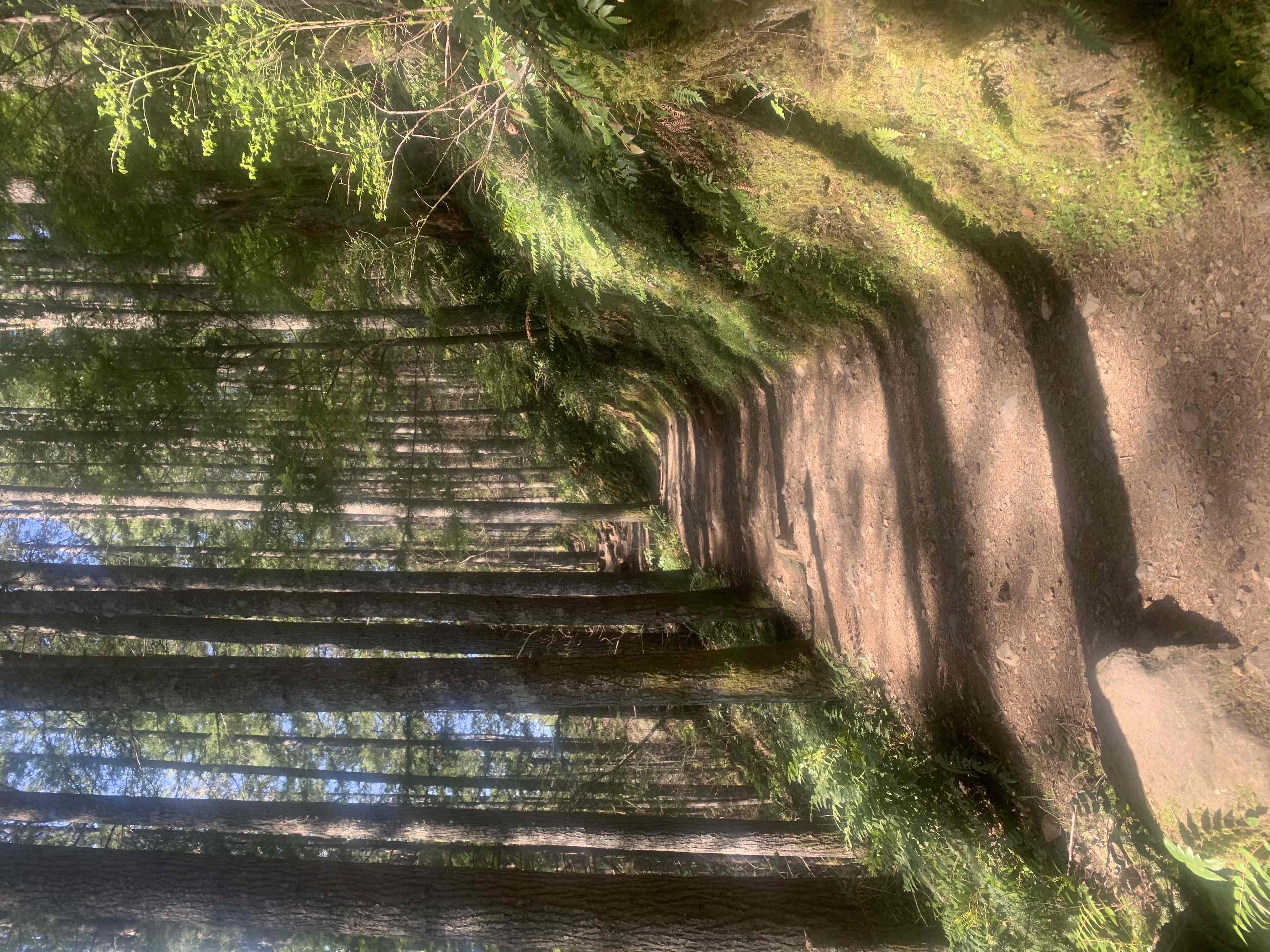 Mt. Si