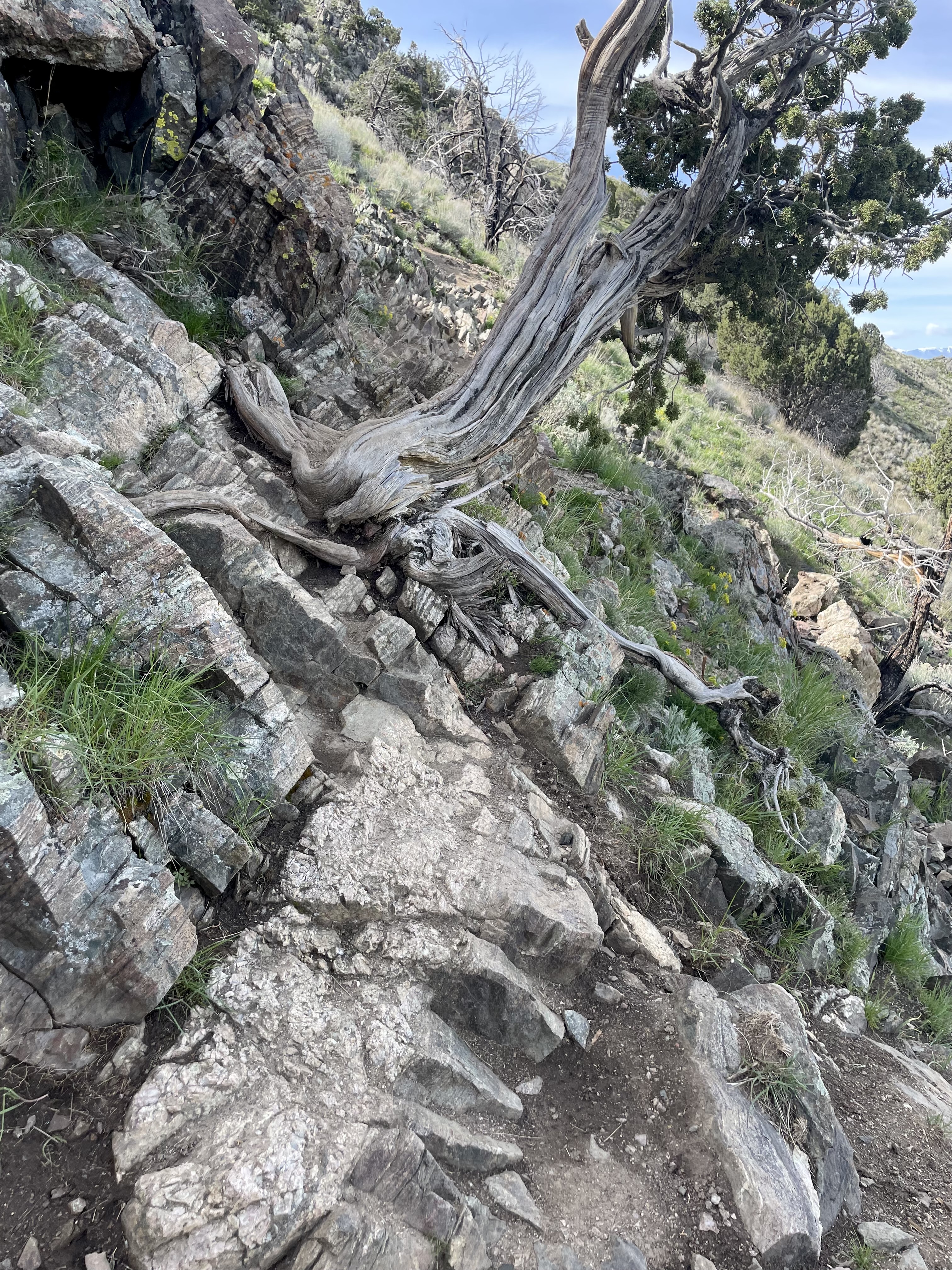 Frary Peak Trail