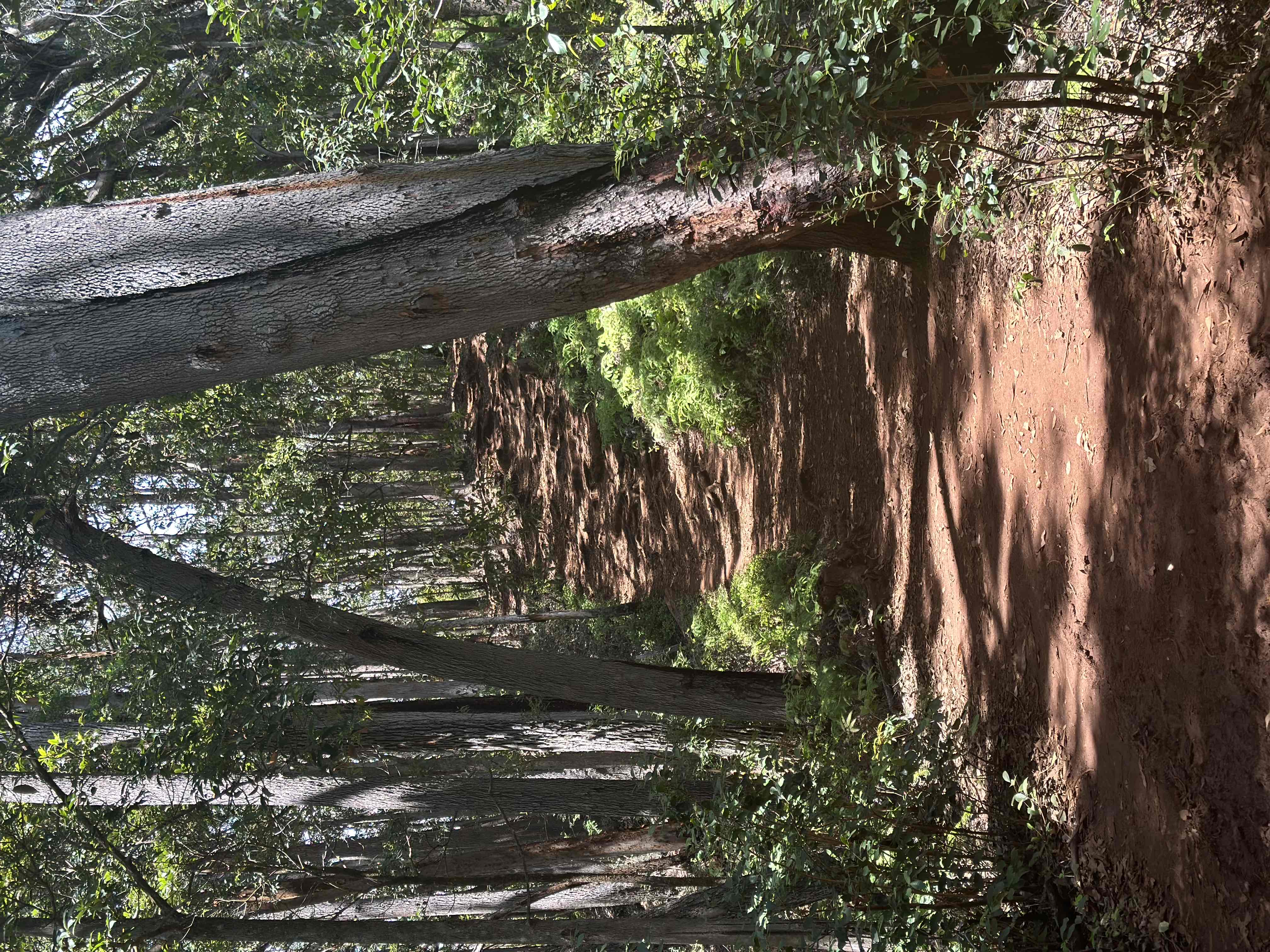 Waimano Falls