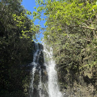 Hike to Waimano Falls