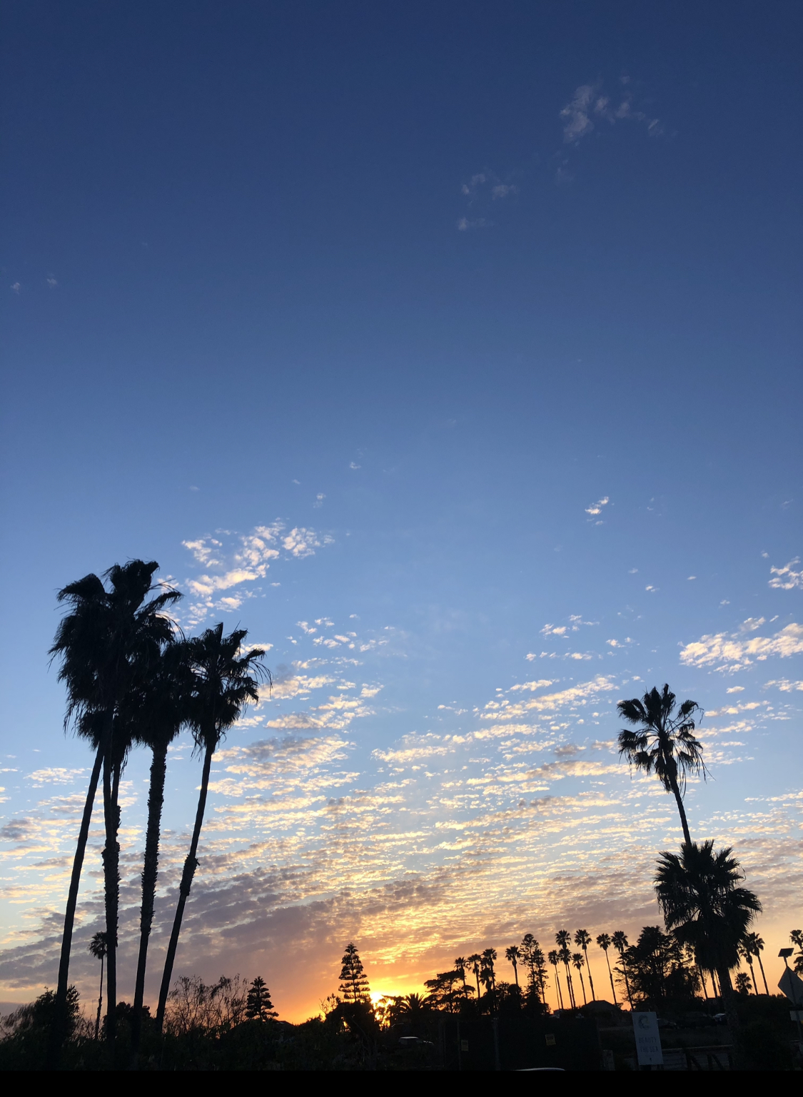 Encinitas Coastal Rail Trail 