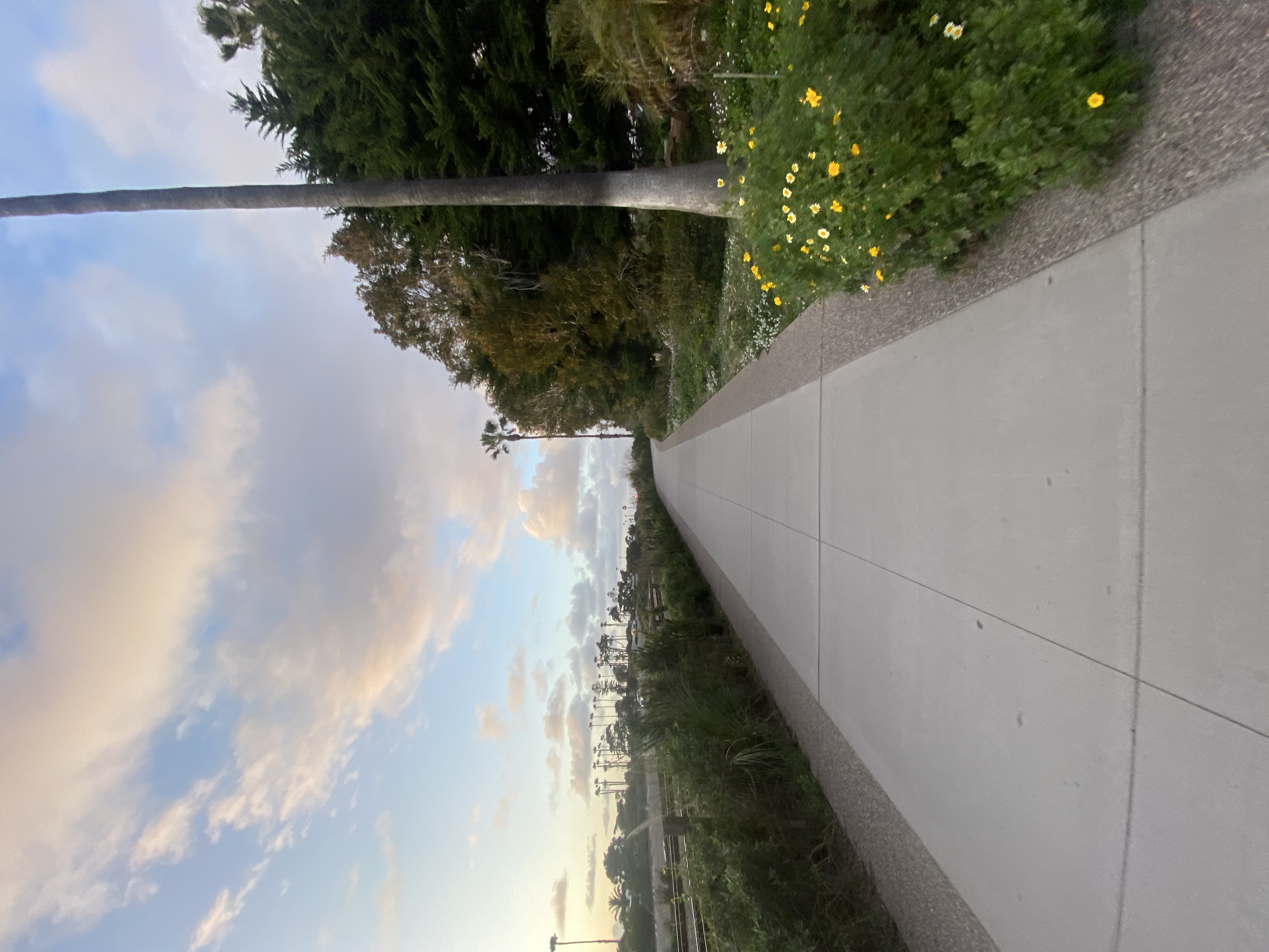 Encinitas Coastal Rail Trail 