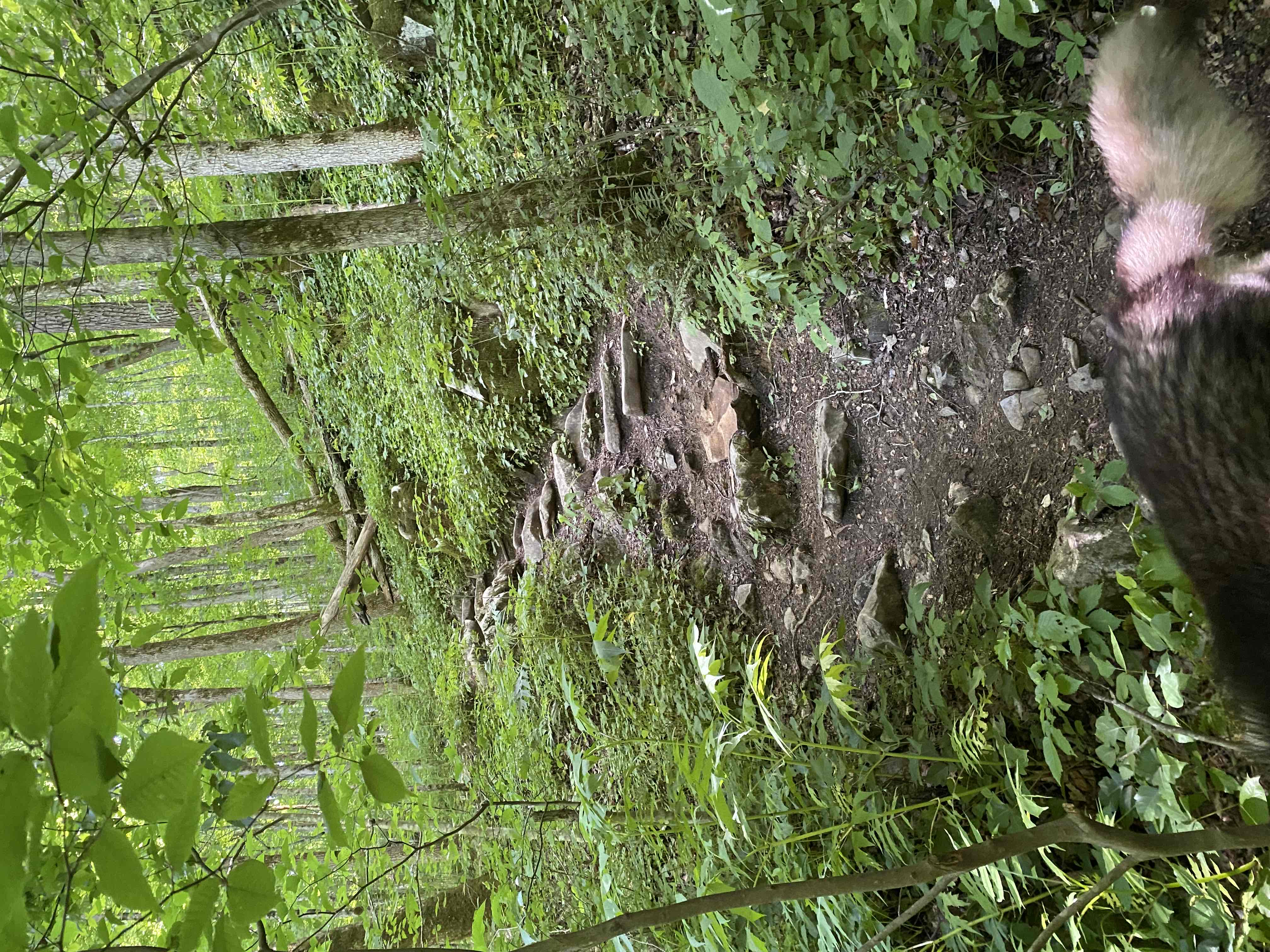 Walls of Jericho via Alabama Trailhead