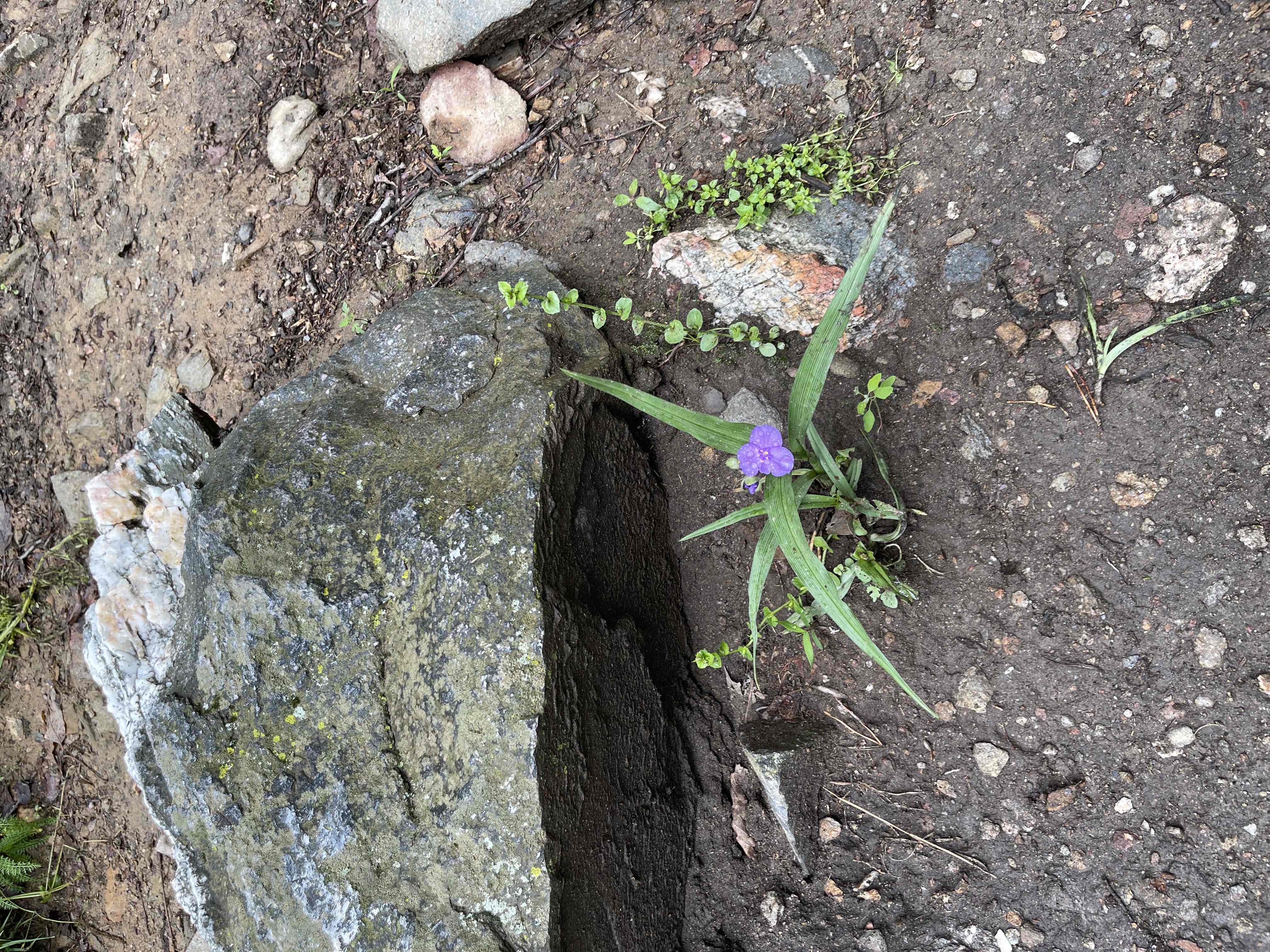 Maryland Heights via Harpers Ferry