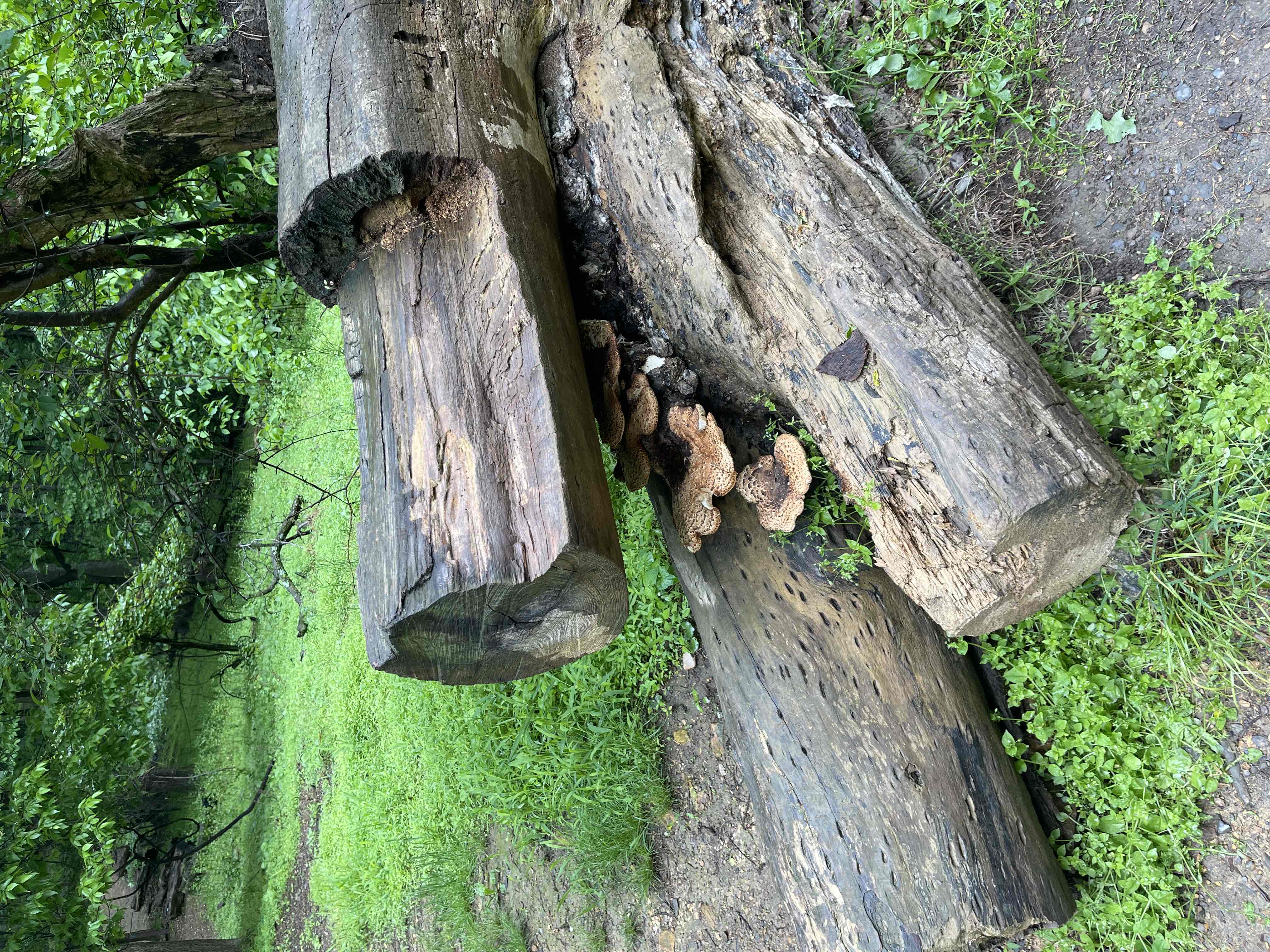 Maryland Heights via Harpers Ferry