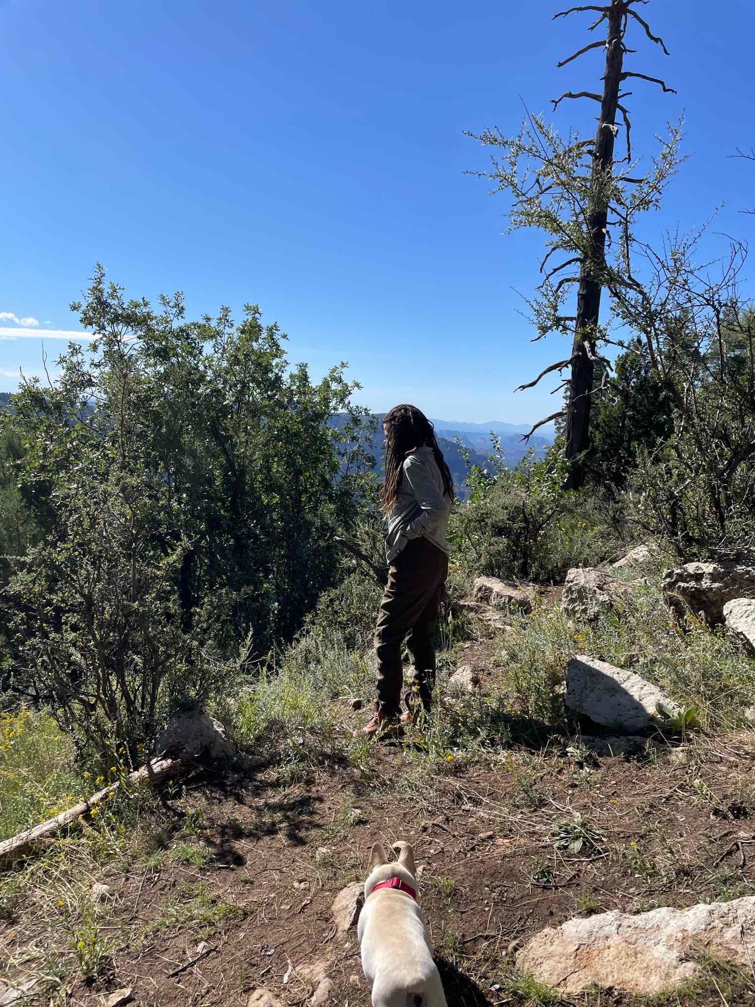 Camp at East Pocket (Edge of the World)