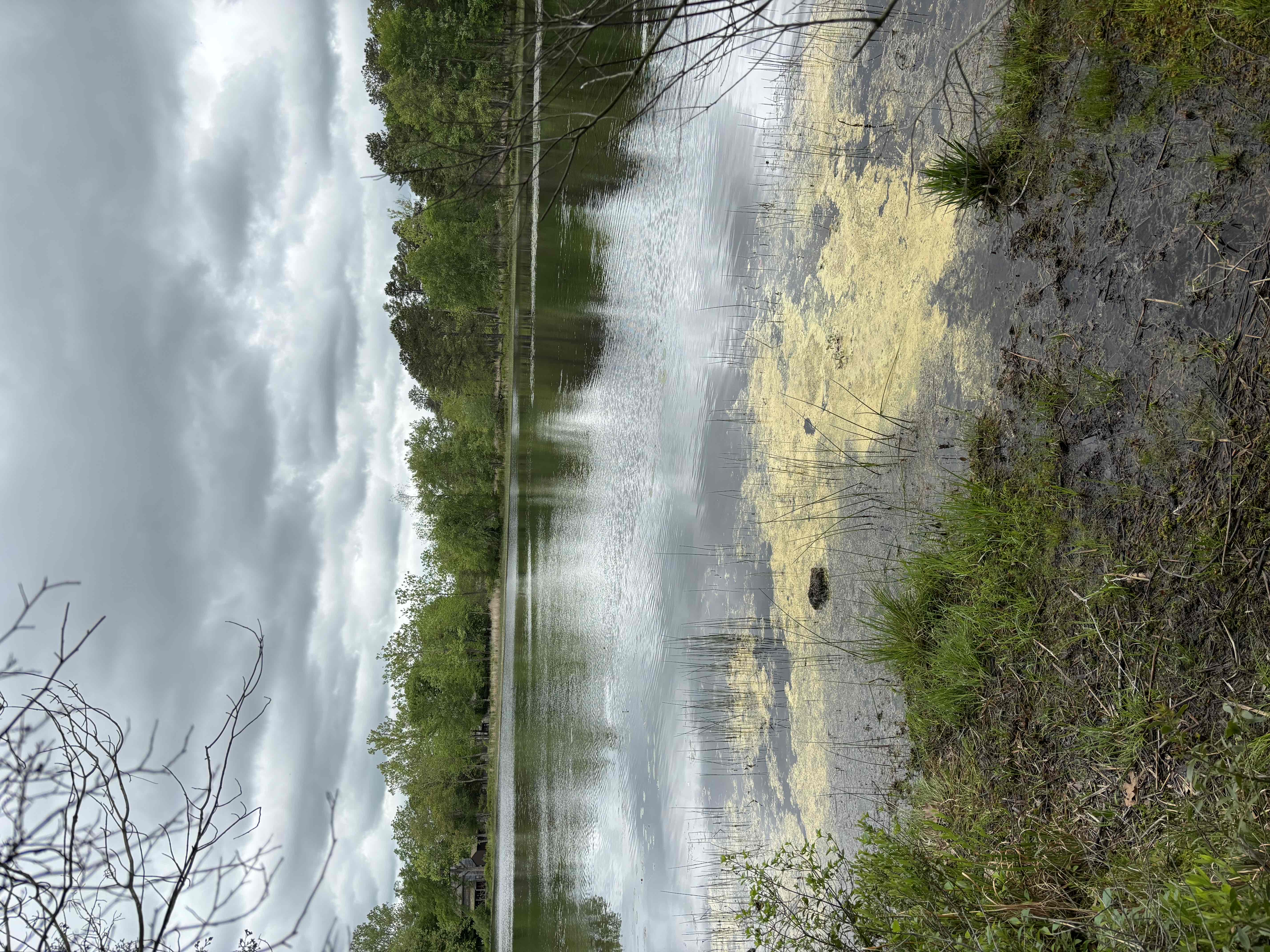 Batsto Lake Trail