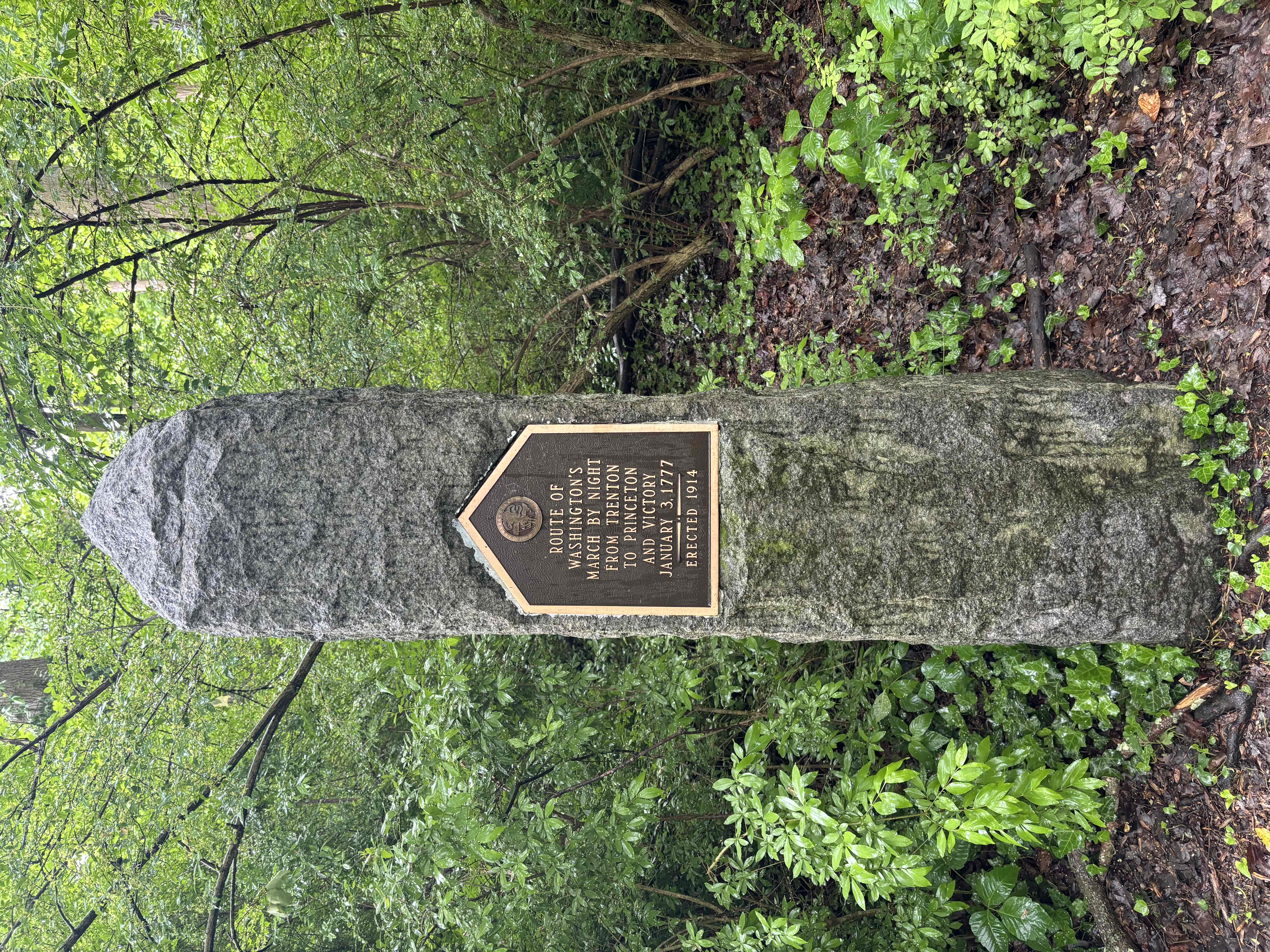 Princeton Battlefield Park Suspension Bridge