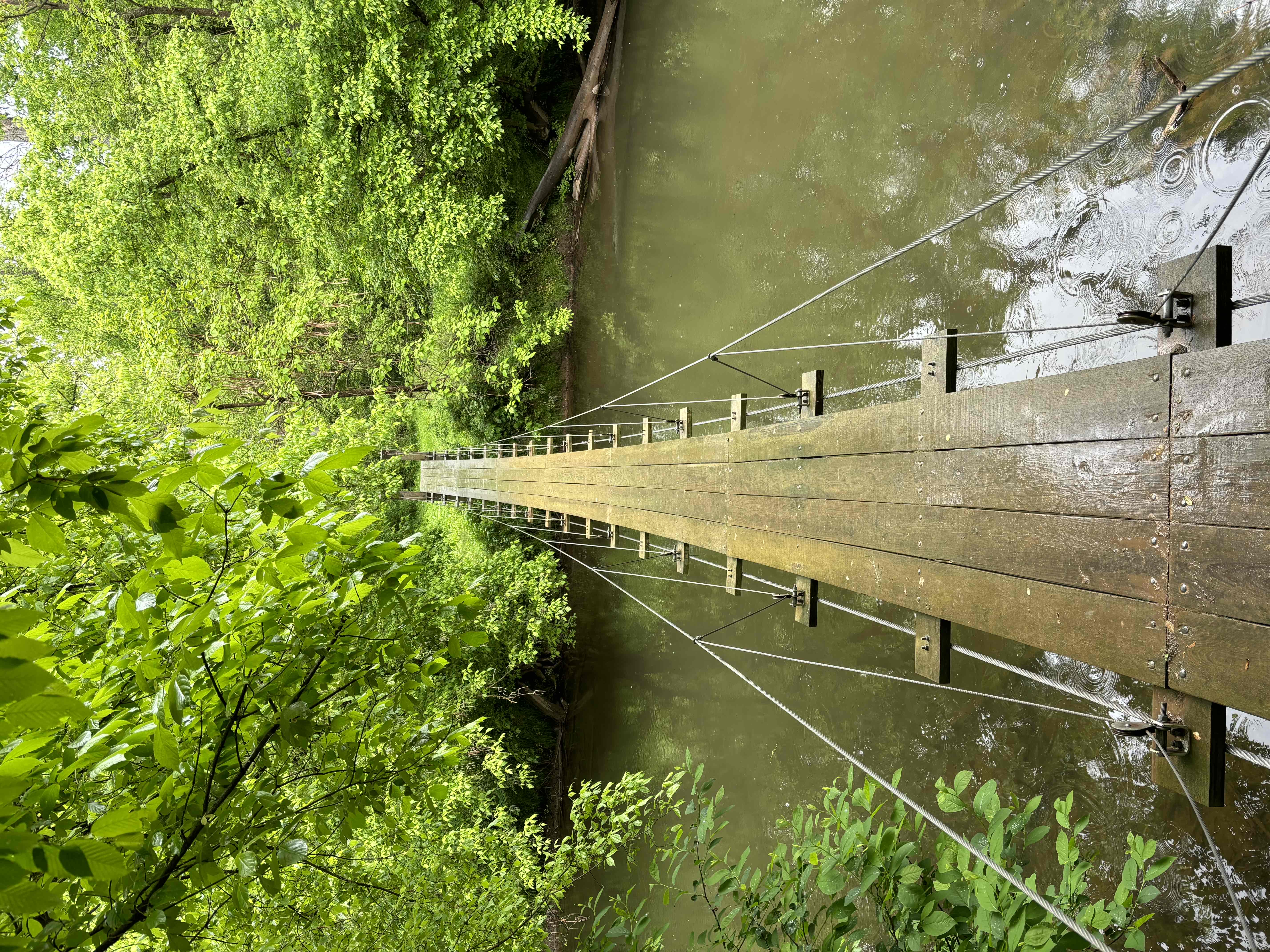 Princeton Battlefield Park Suspension Bridge