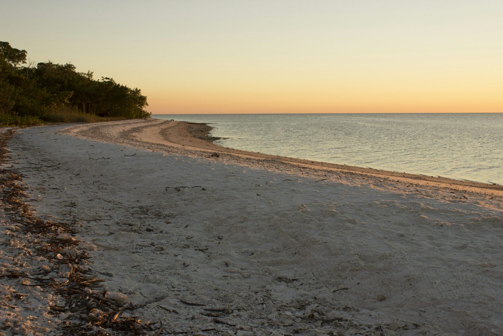 Kayak Camp on Panther Key