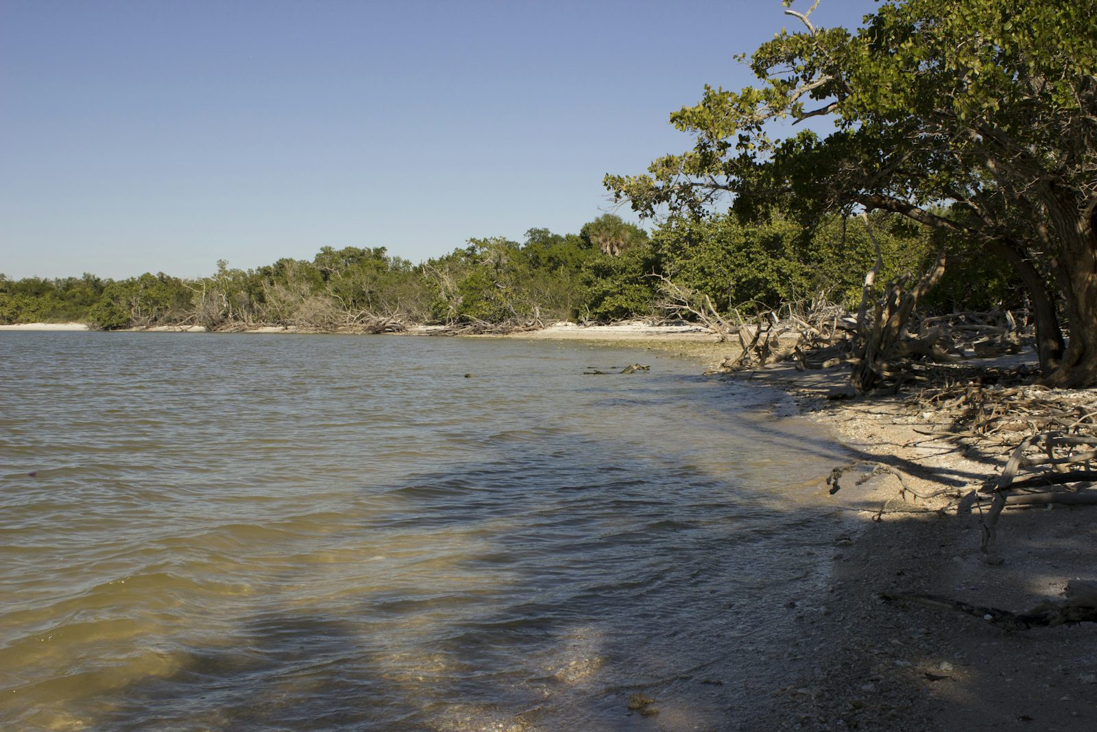 Kayak Camp on Panther Key
