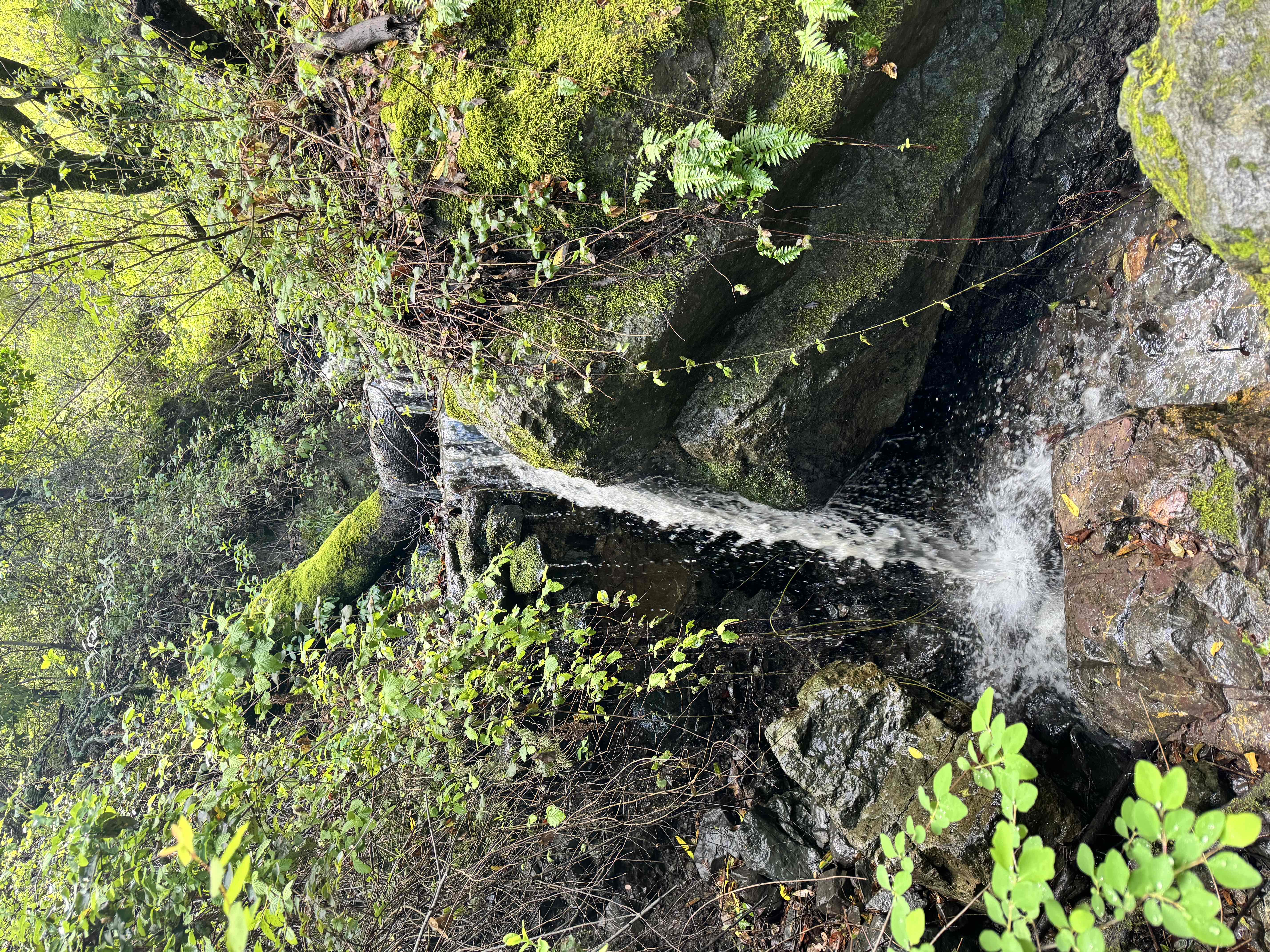 Edgewood Loop