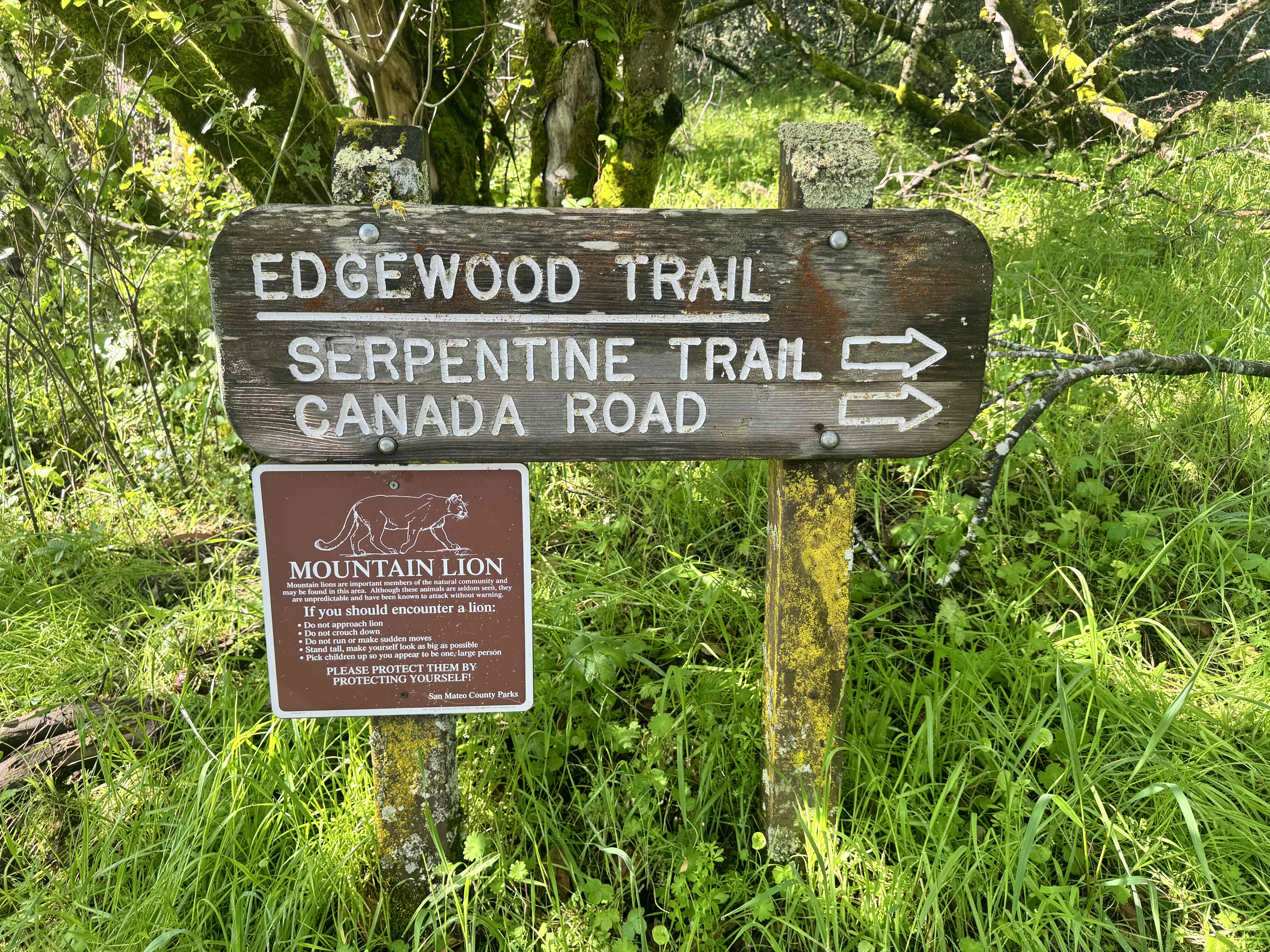 Edgewood Loop