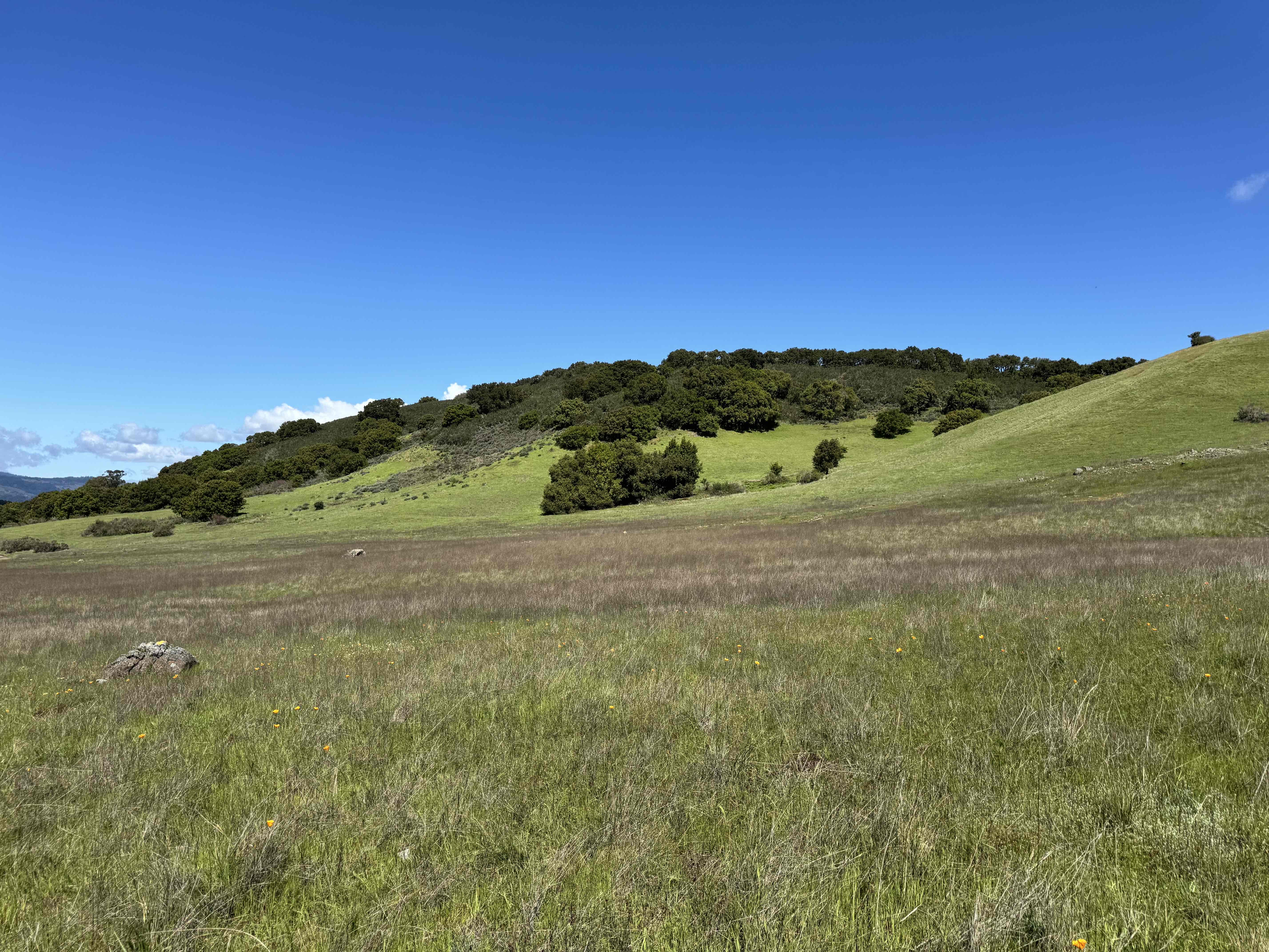 Edgewood Loop