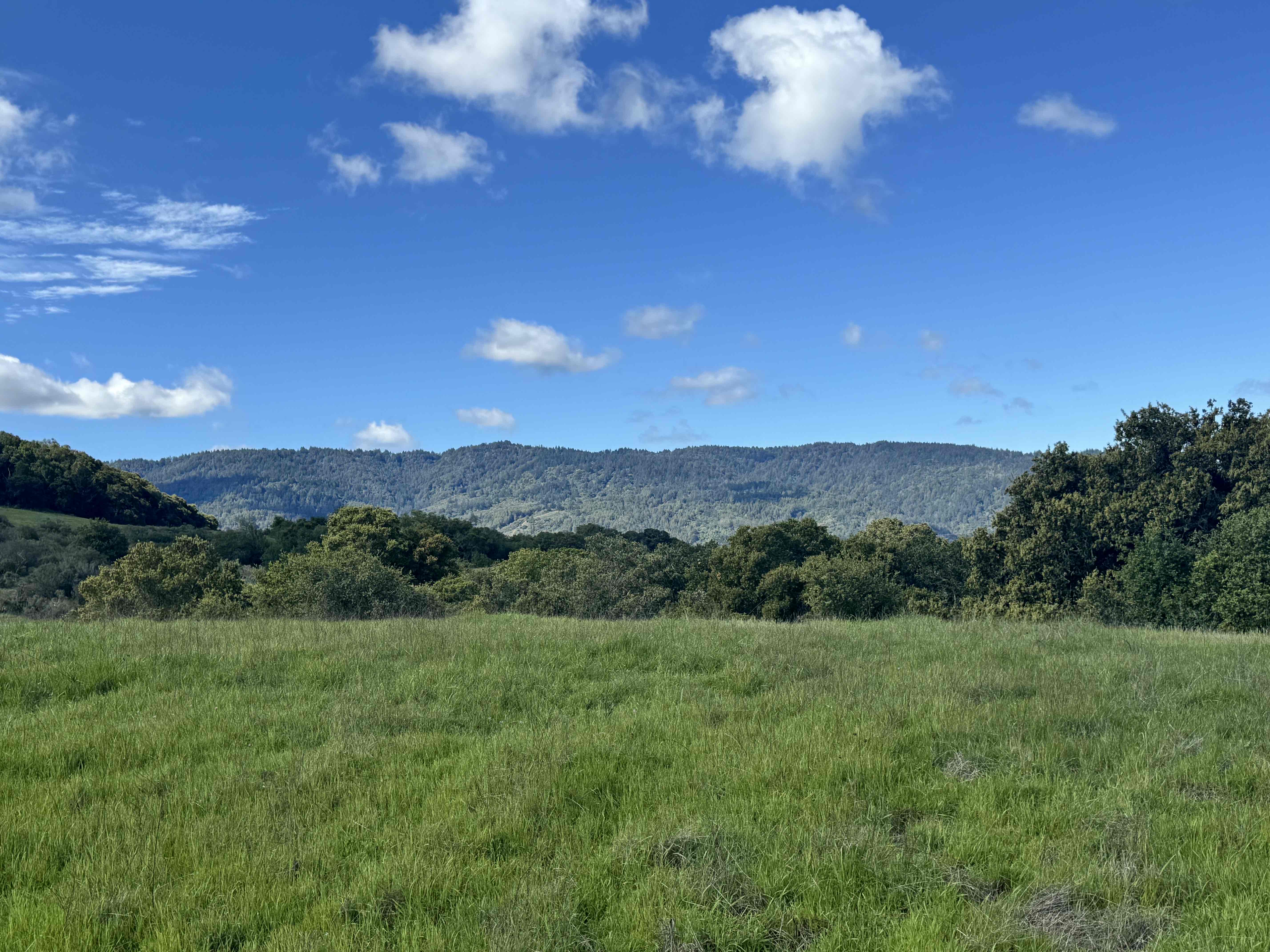 Edgewood Loop