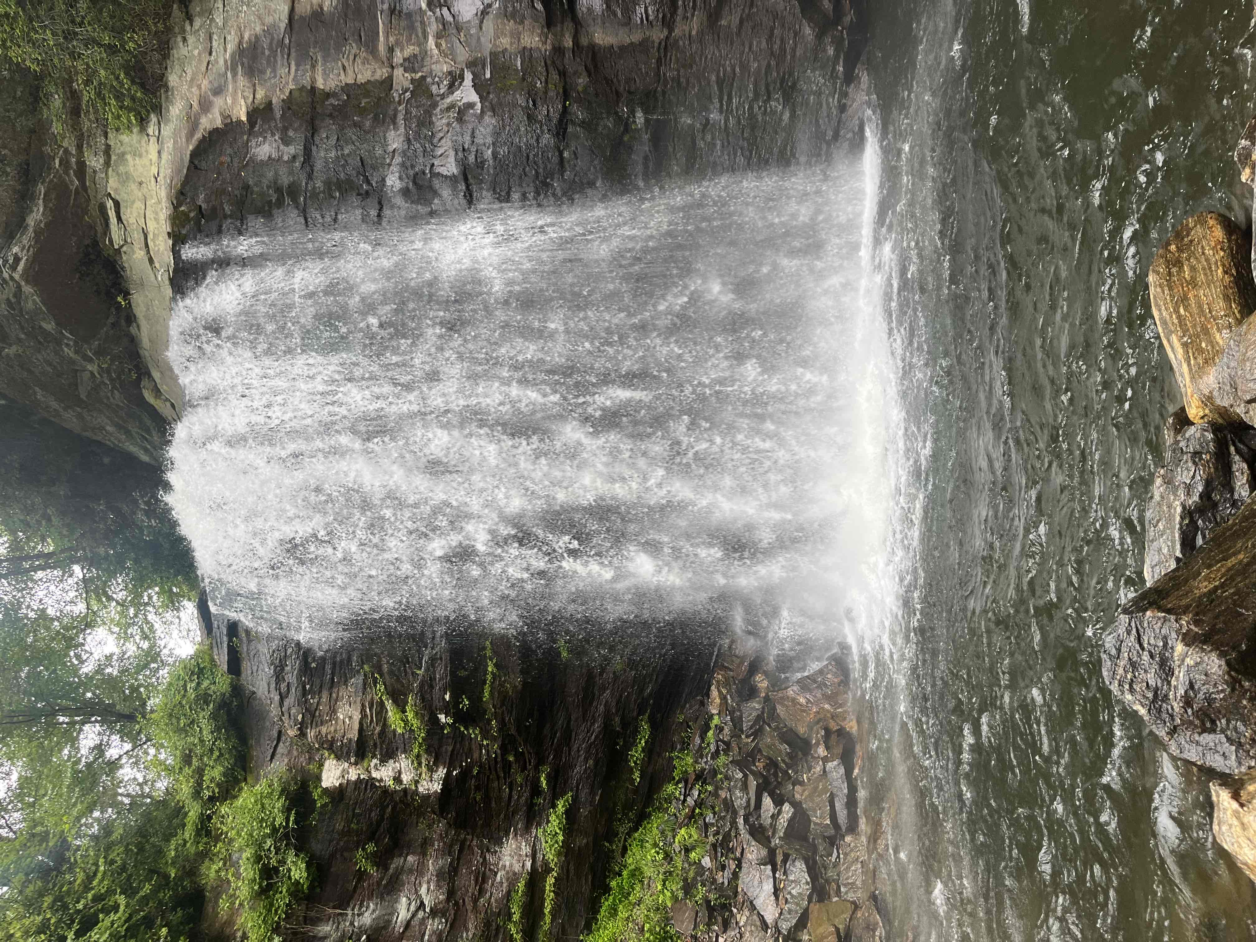 Looking Glass Falls