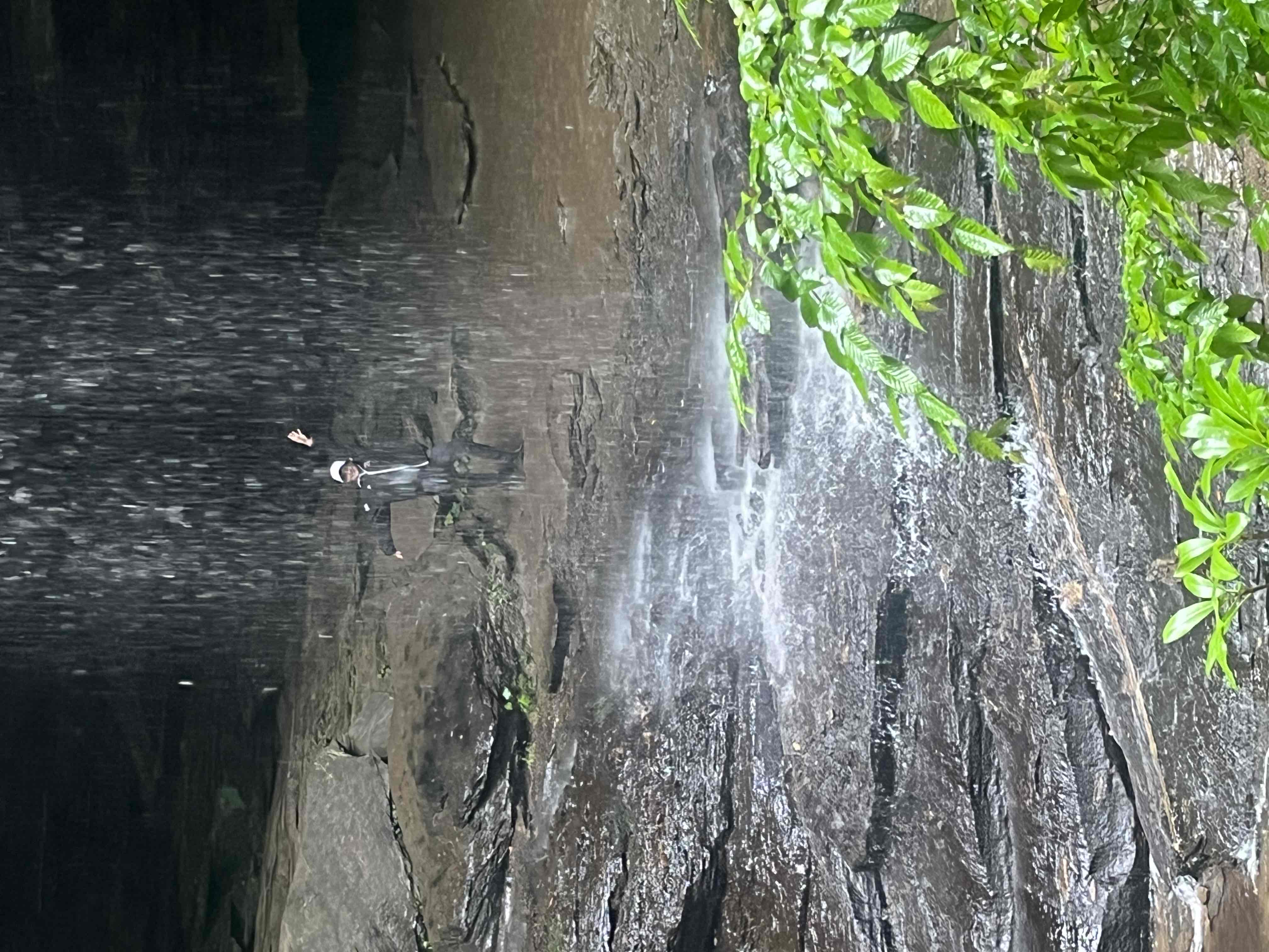 Moore Cove Falls