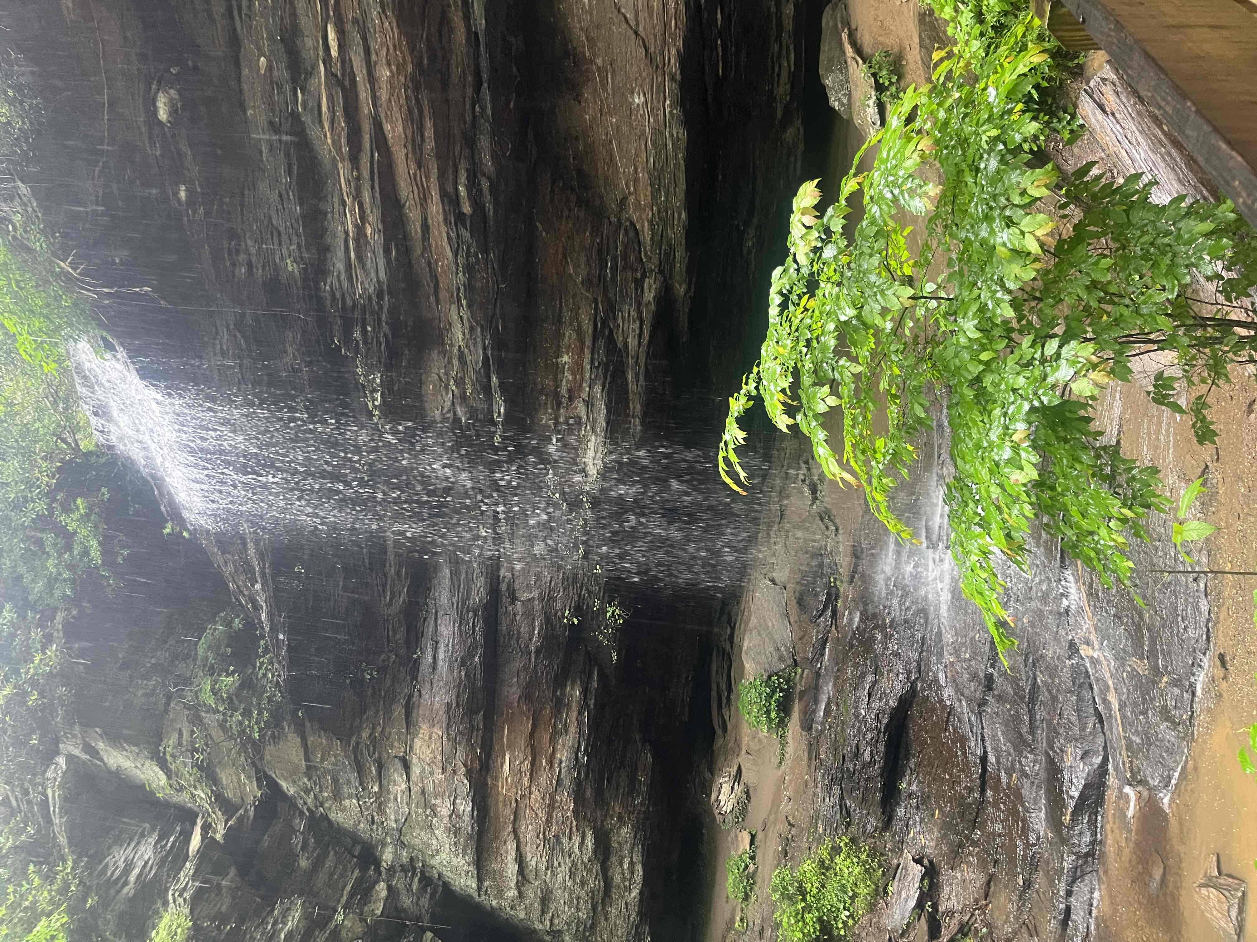 Moore Cove Falls