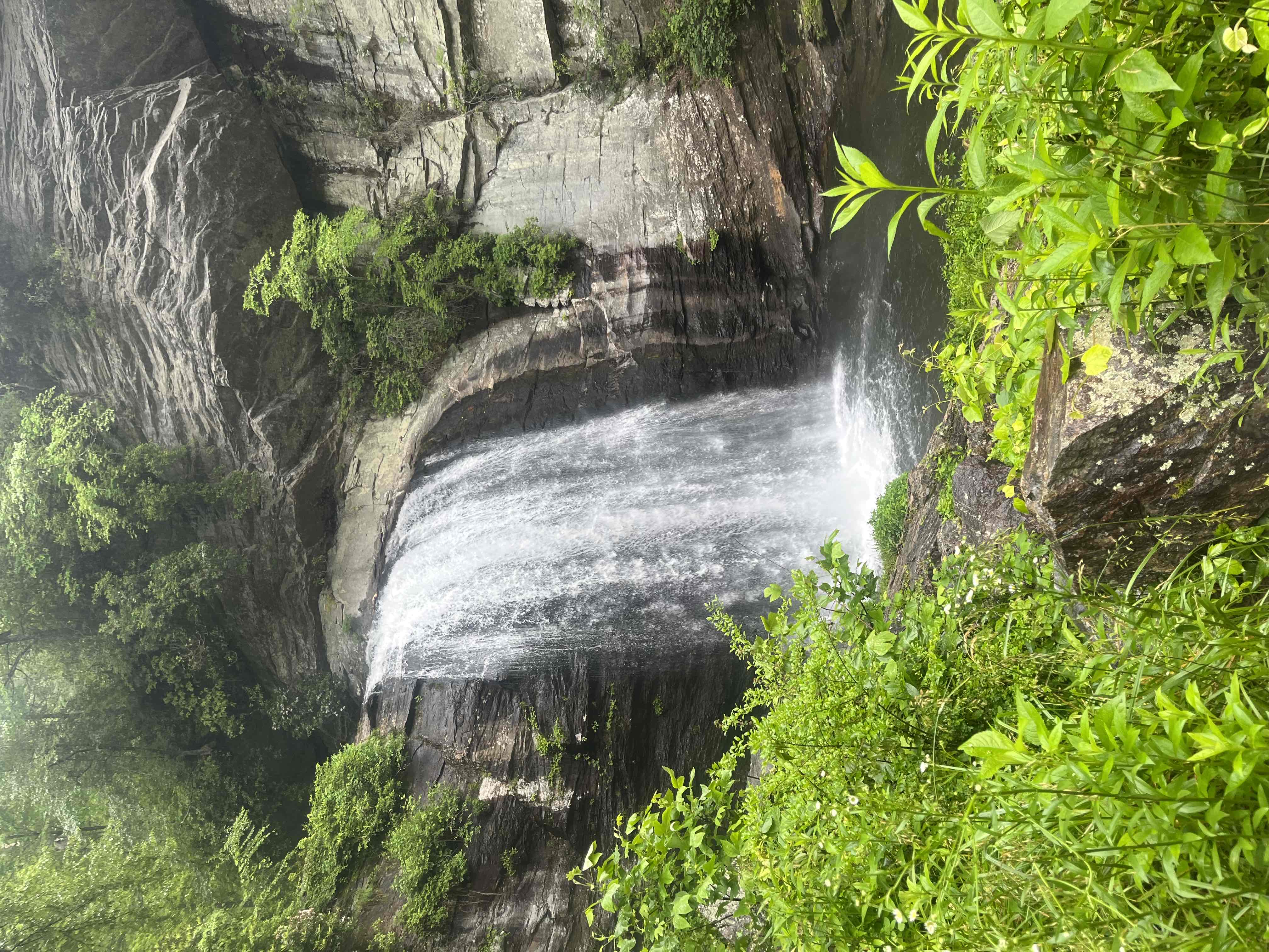 Looking Glass Falls