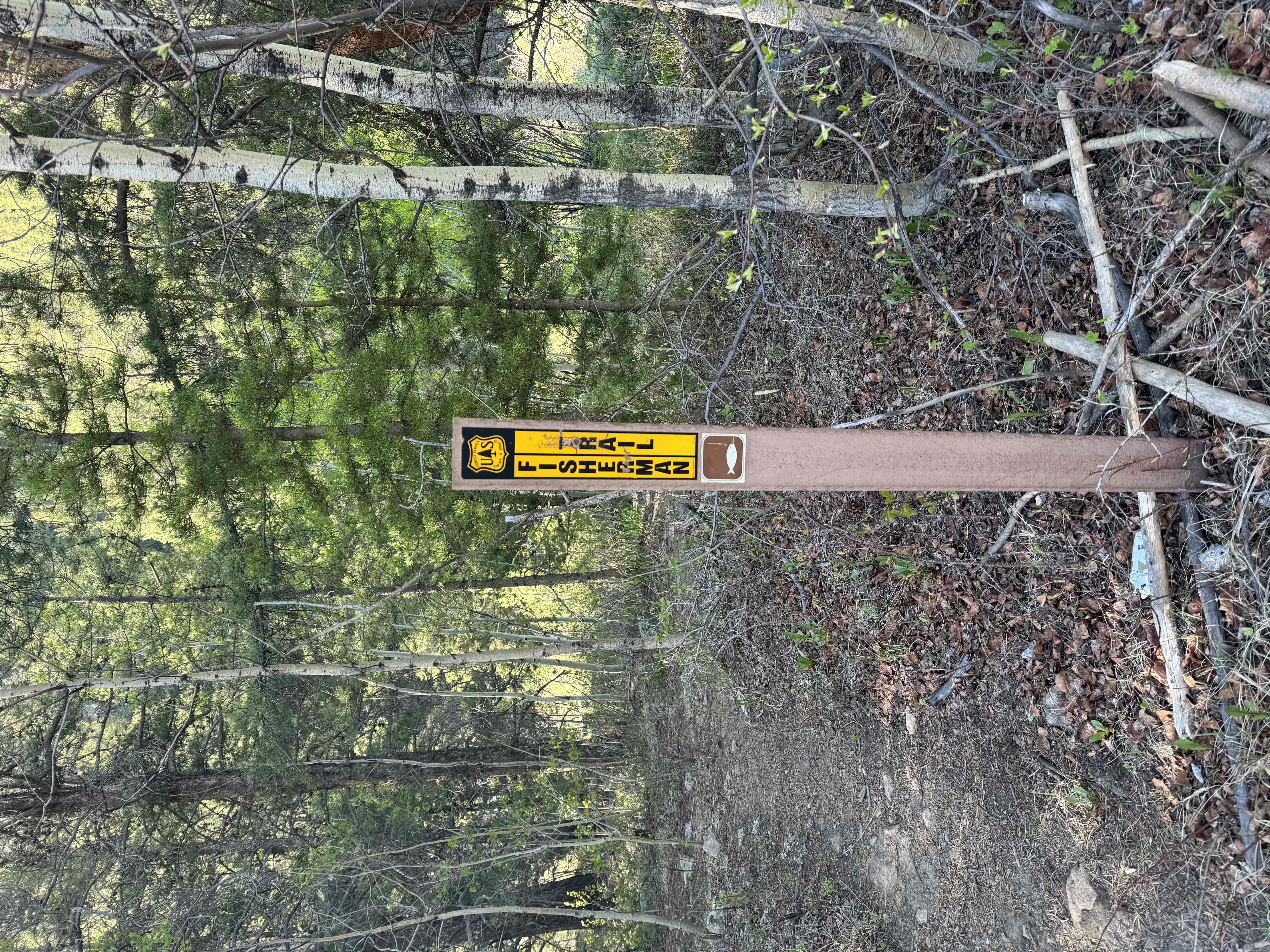 Roosevelt Mine