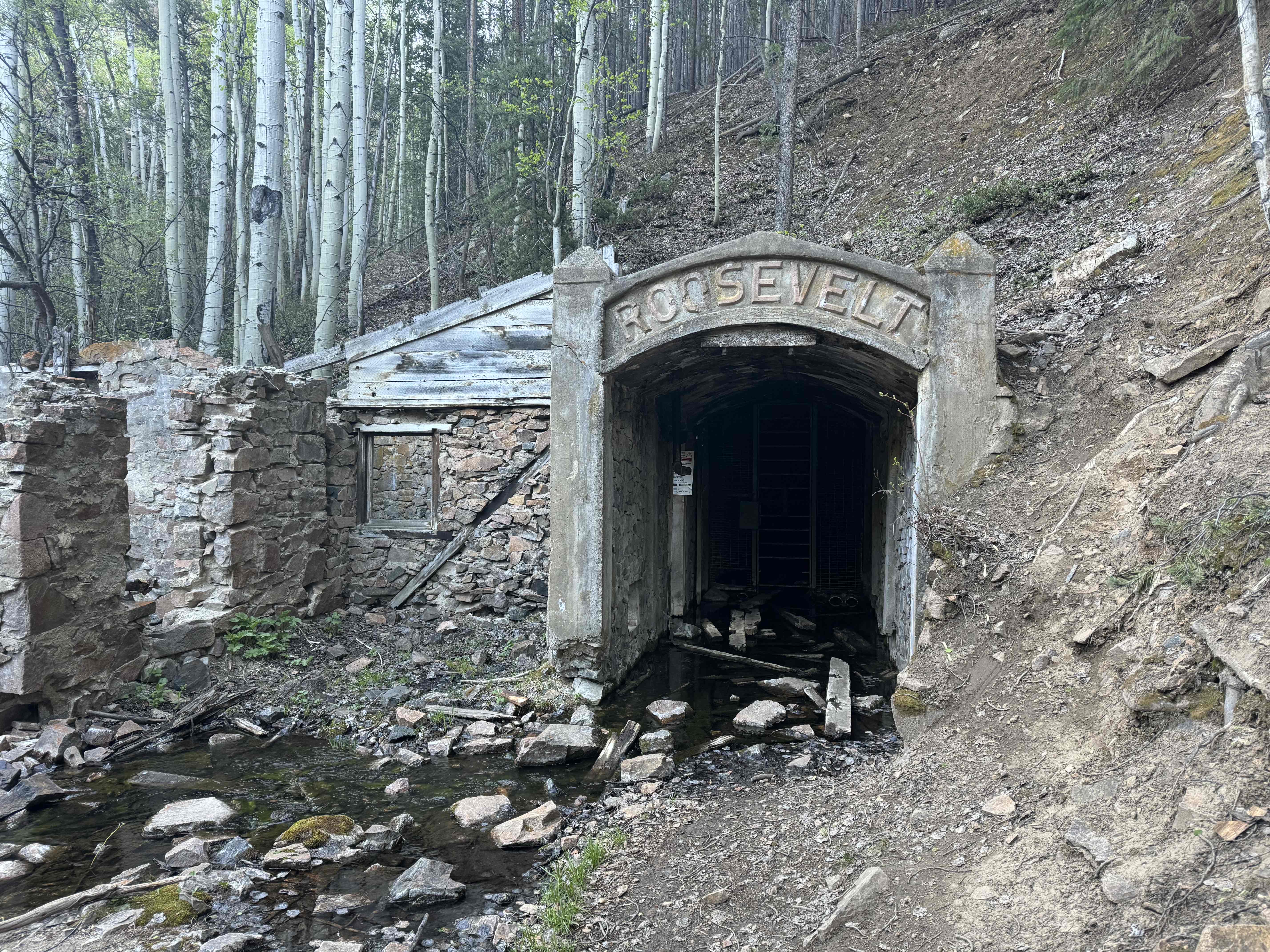 Roosevelt Mine