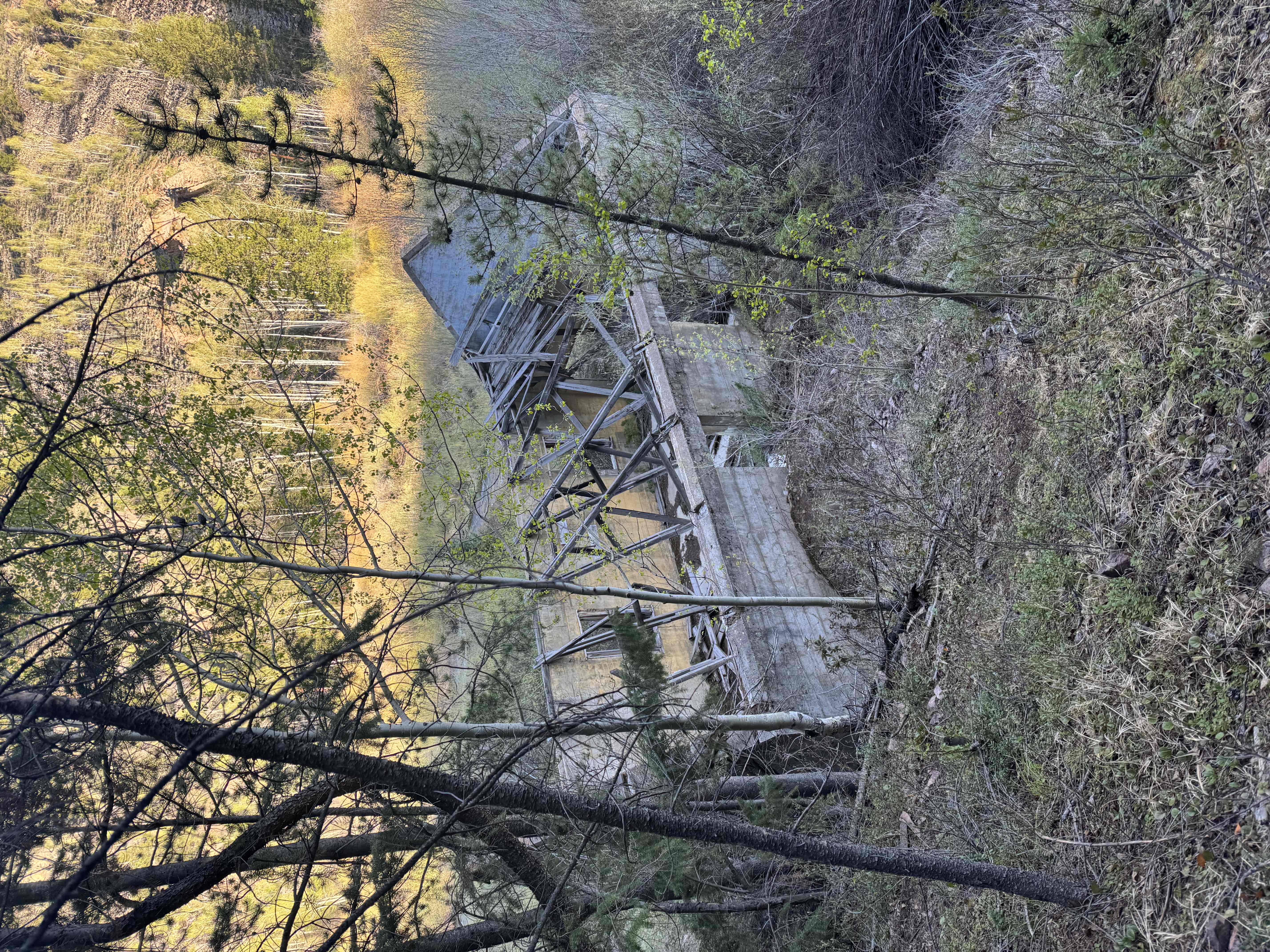 Roosevelt Mine