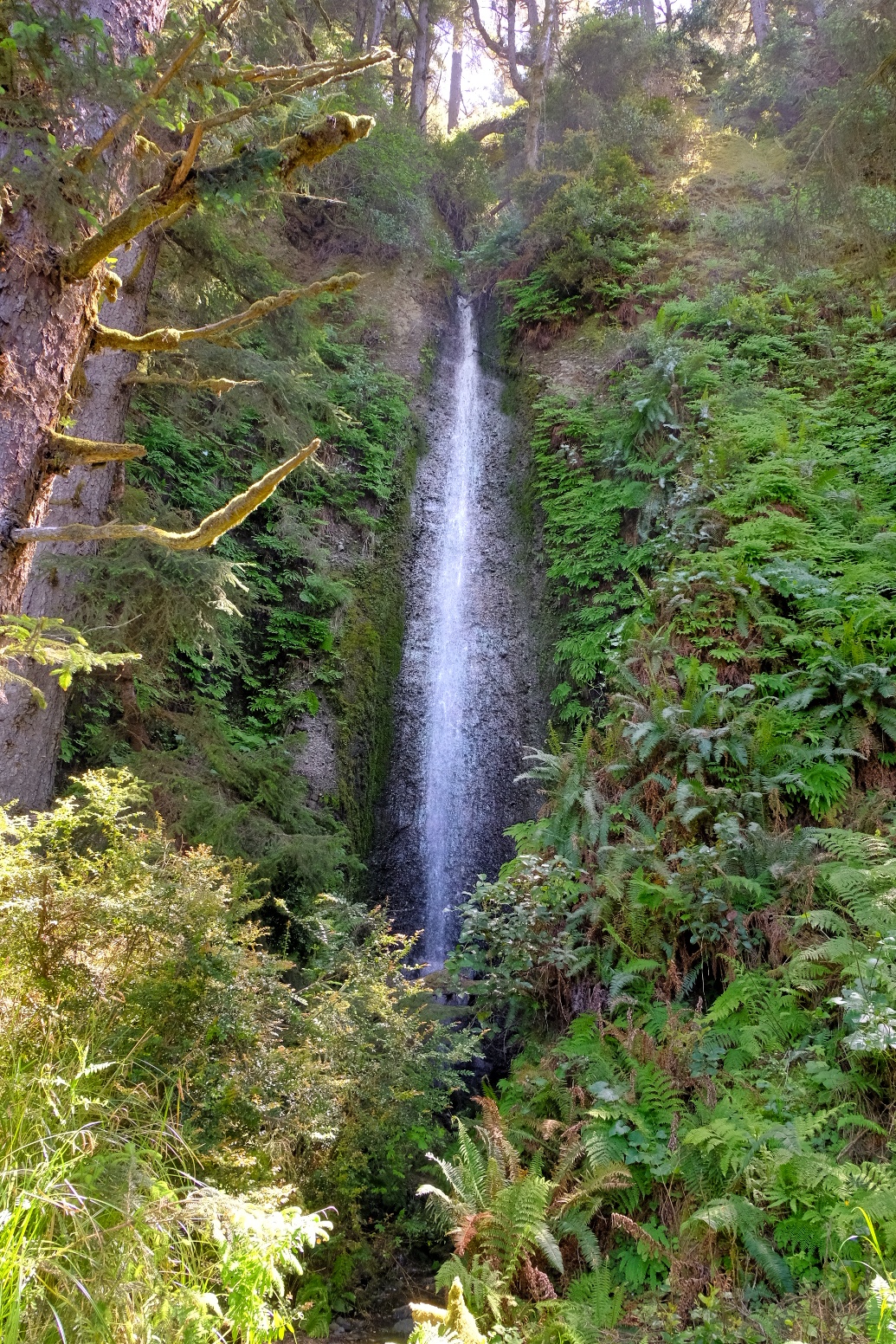 Gold Bluffs & Prairie Creek Redwoods Loop