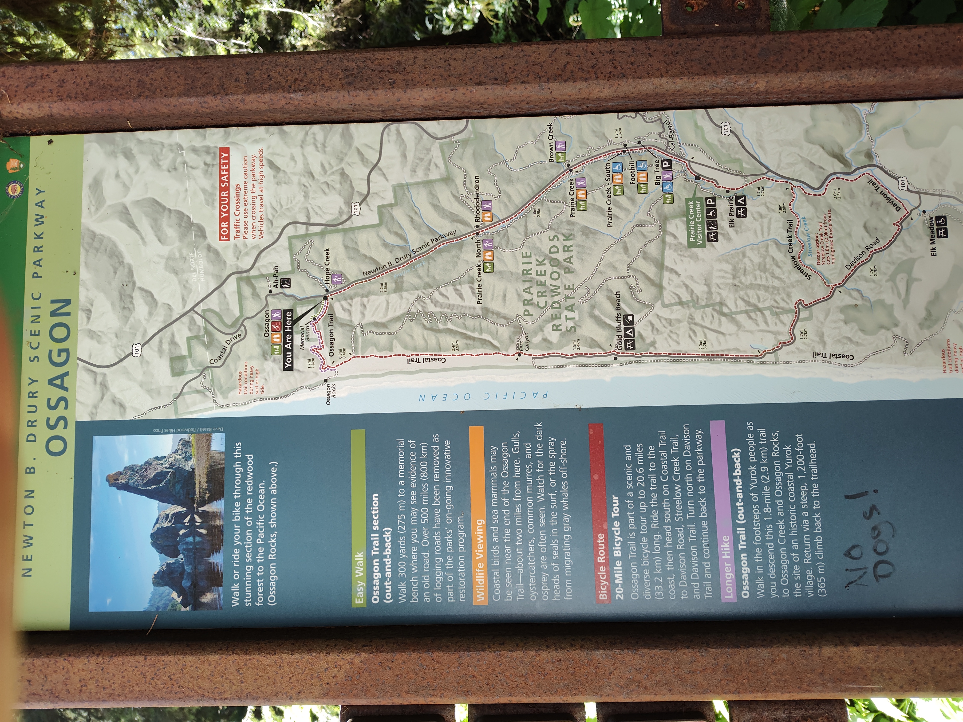 Gold Bluffs & Prairie Creek Redwoods Loop