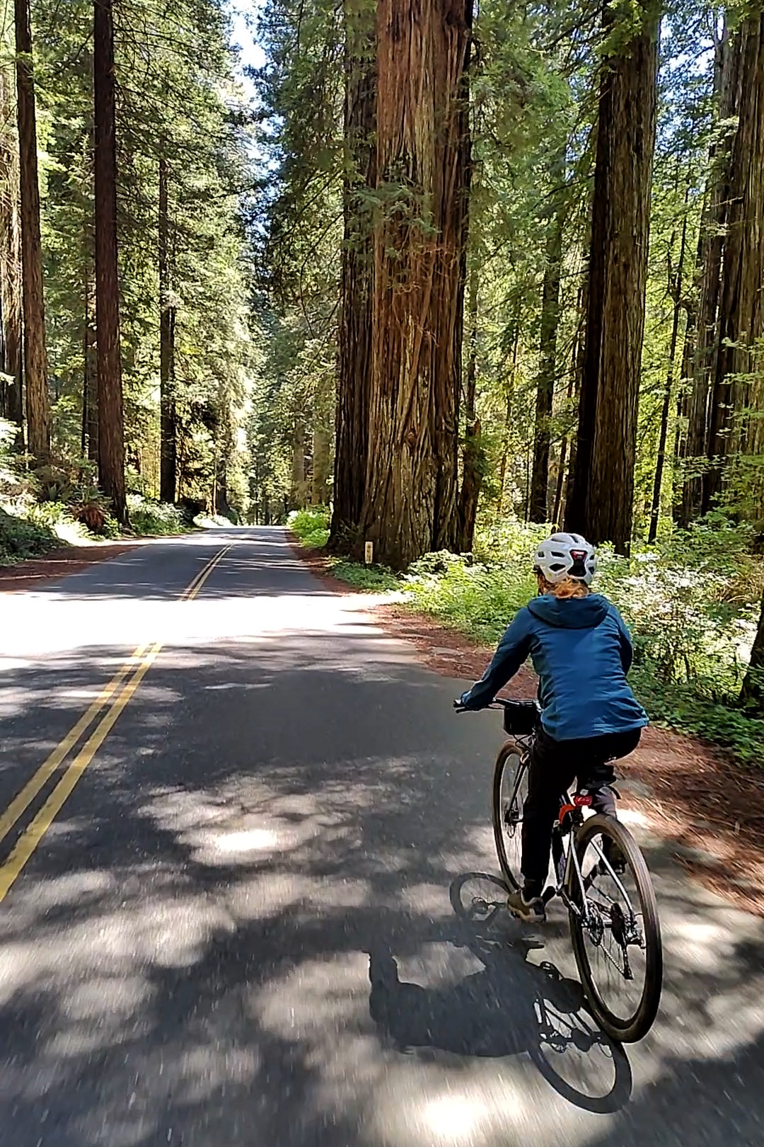 Gold Bluffs & Prairie Creek Redwoods Loop