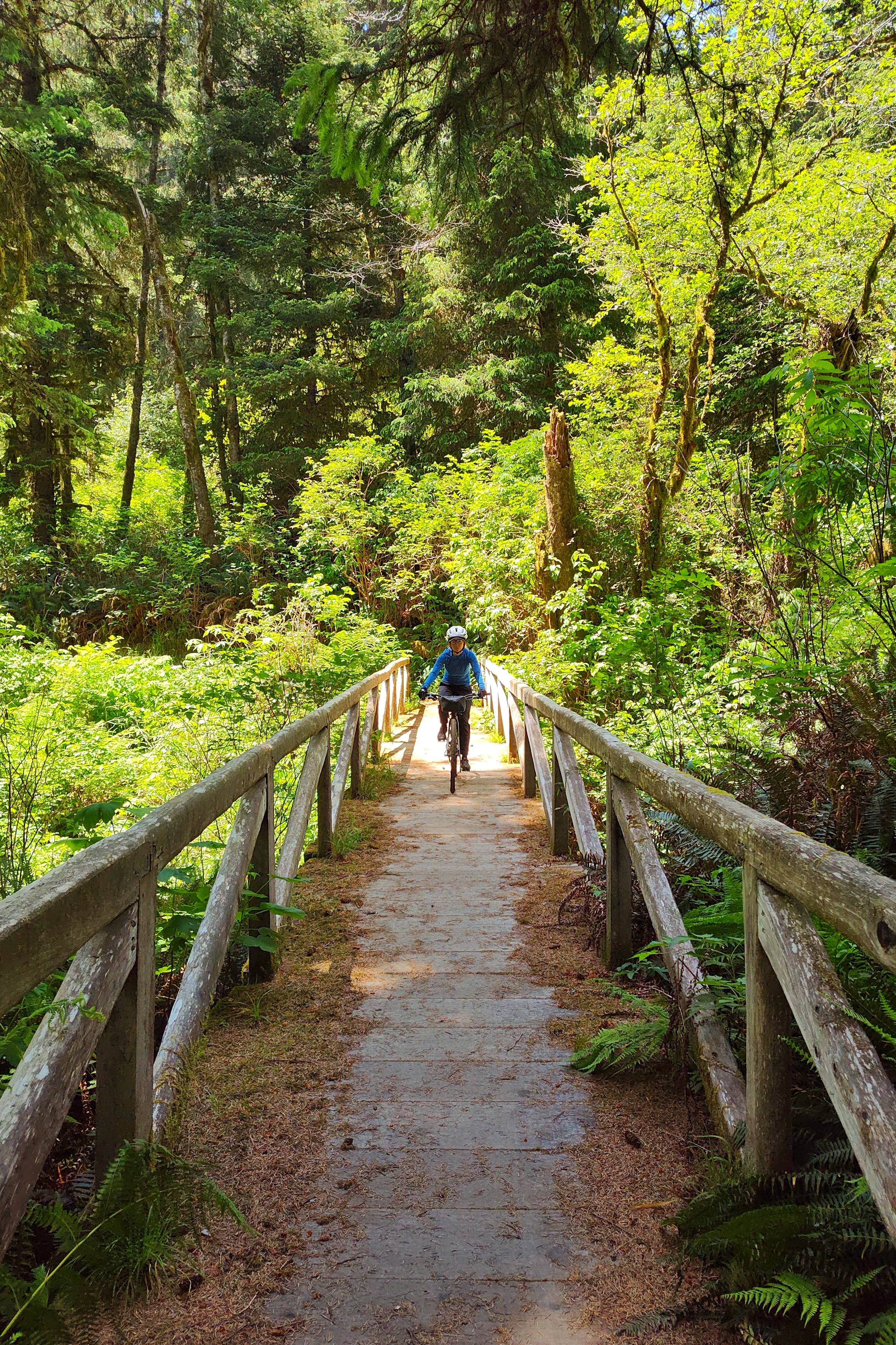 Gold Bluffs & Prairie Creek Redwoods Loop