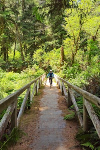 Gold Bluffs & Prairie Creek Redwoods Loop