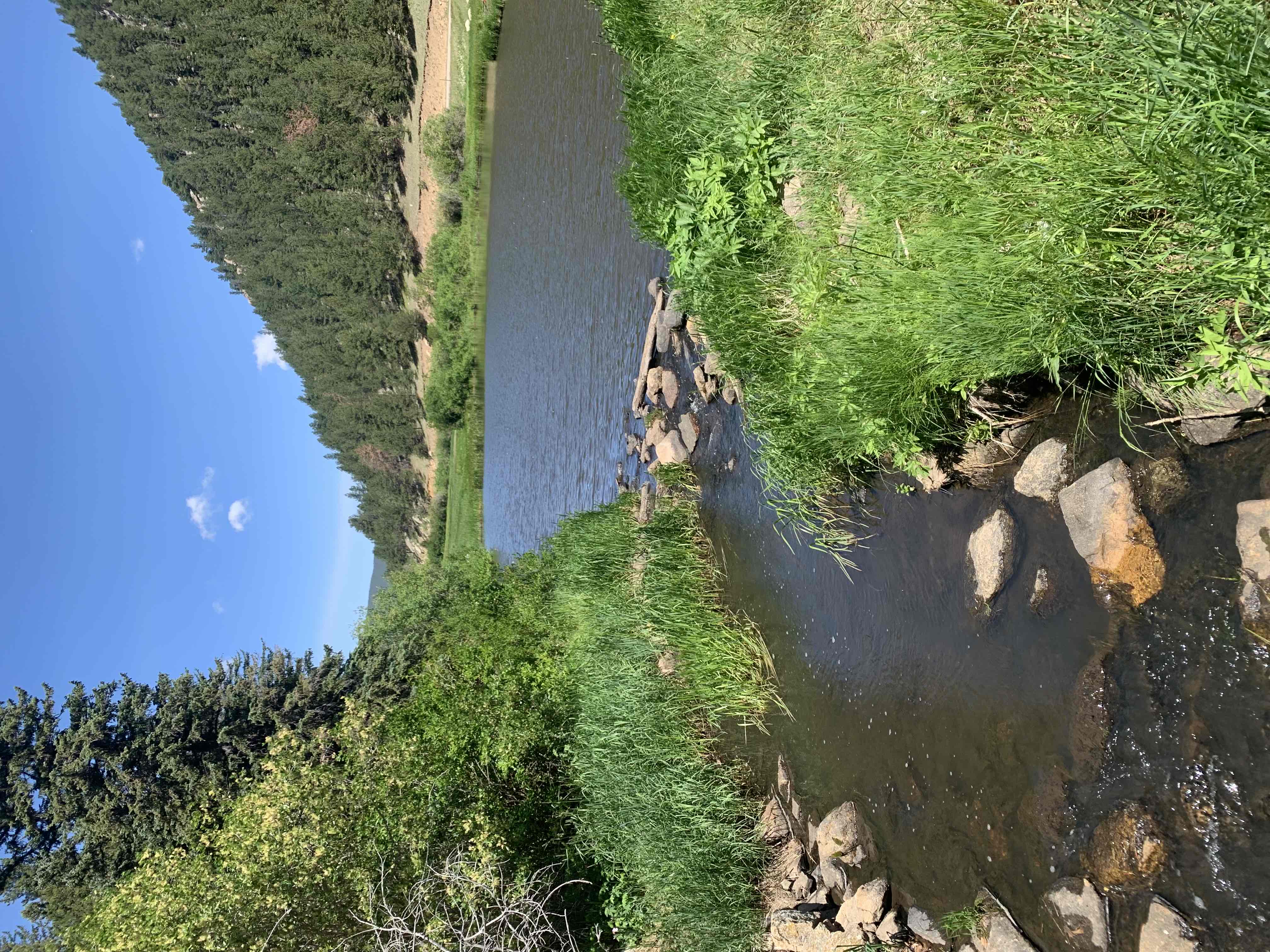 Hike Beaver Trail in Golden Gate Canyon State Park