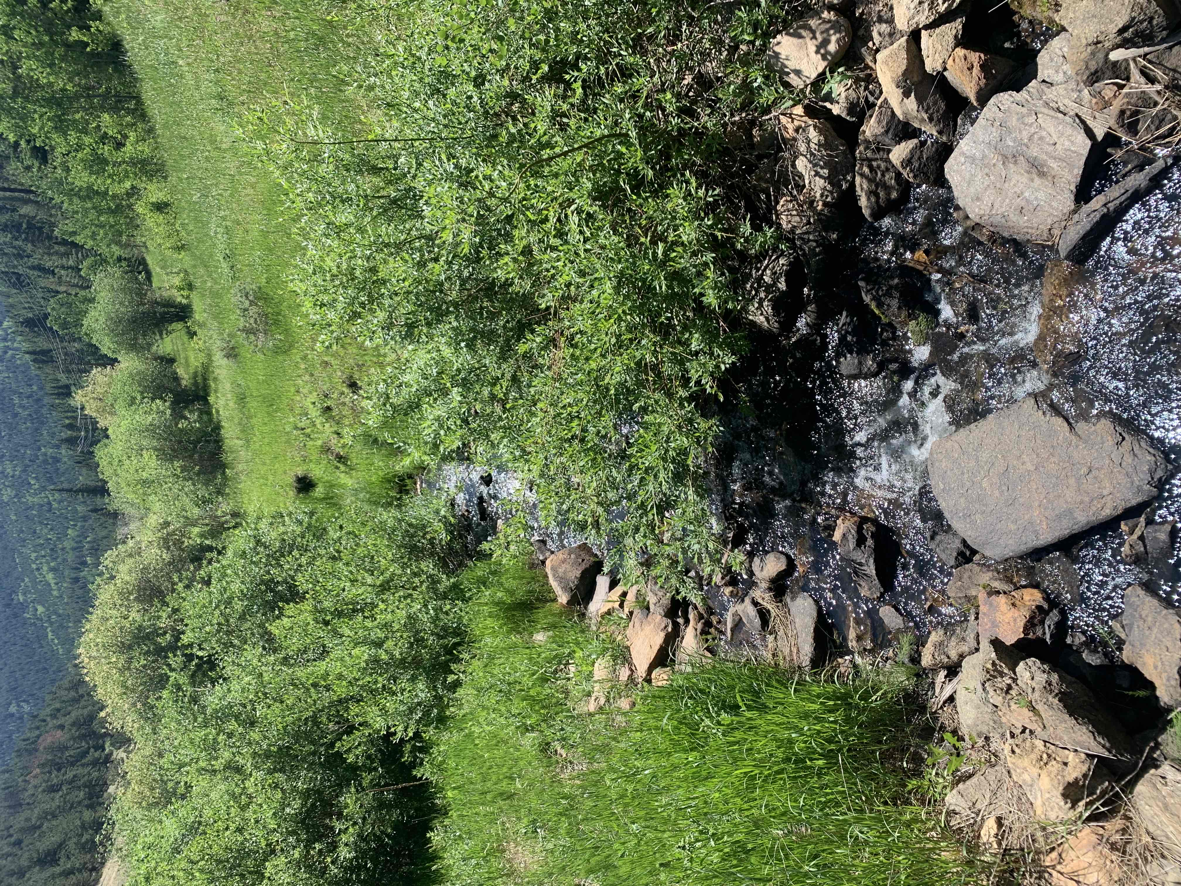 Hike Beaver Trail in Golden Gate Canyon State Park
