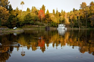 Self-Realization Fellowship Lake Shrine (SRF)
