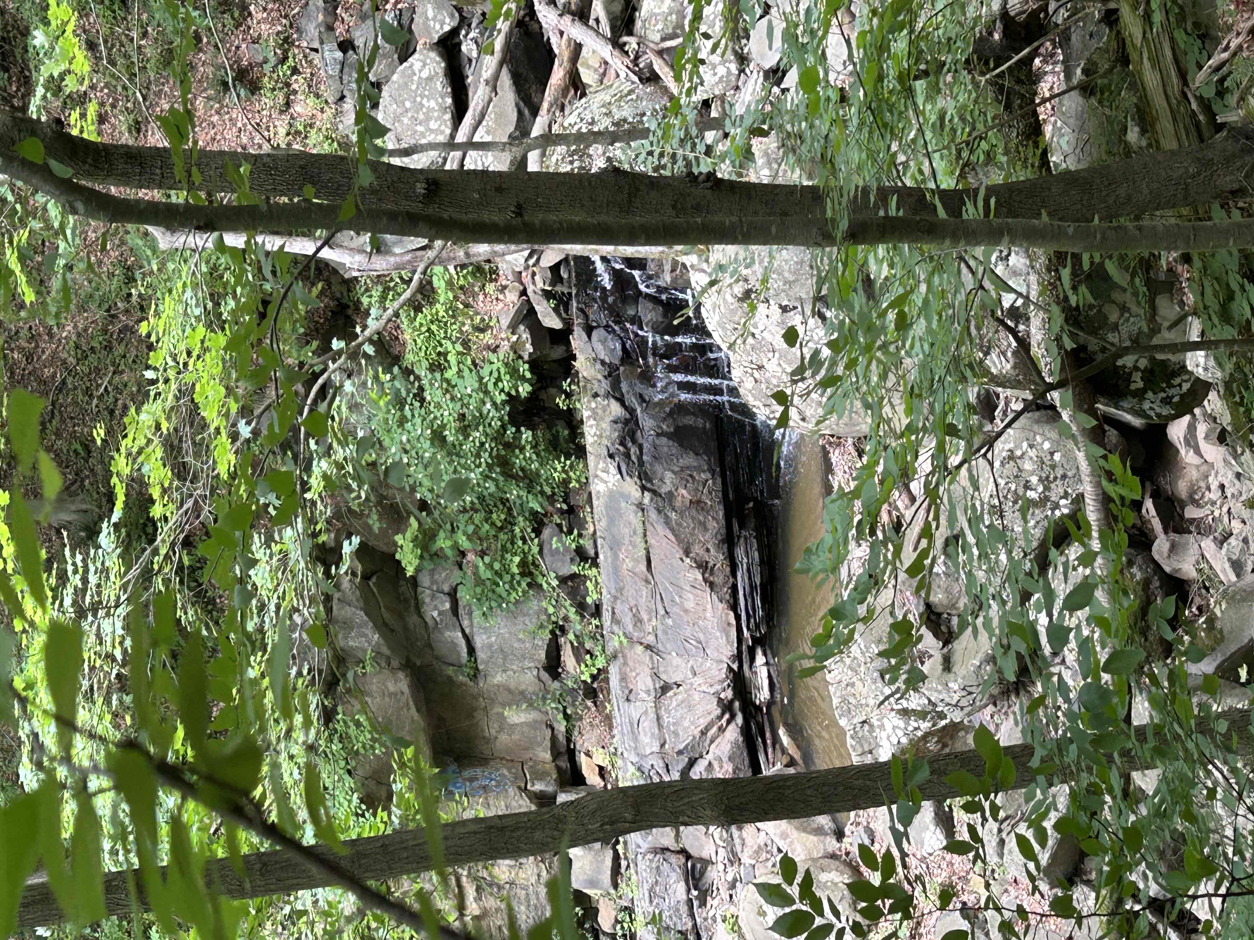 Explore Kugler Woods Waterfall
