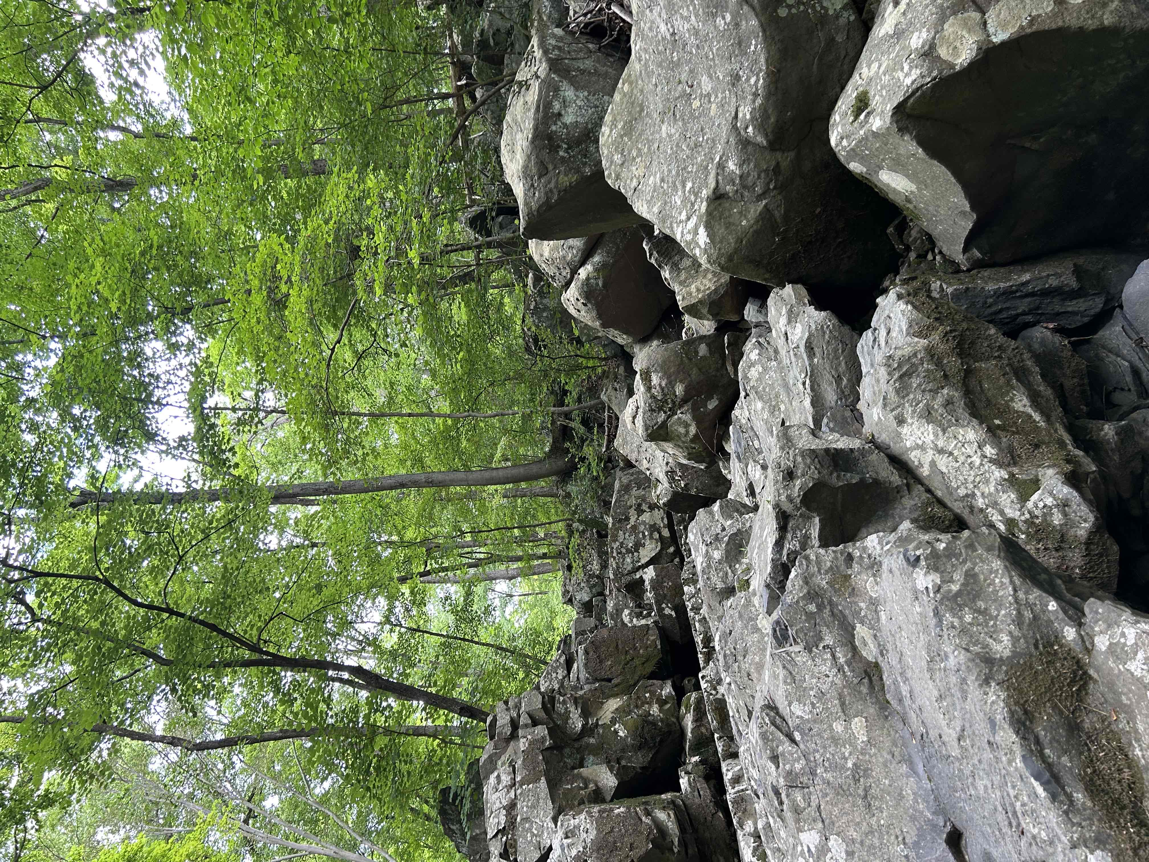 Explore Kugler Woods Waterfall