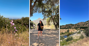 Overnight Camp trip in Los Angeles' Topanga Canyon