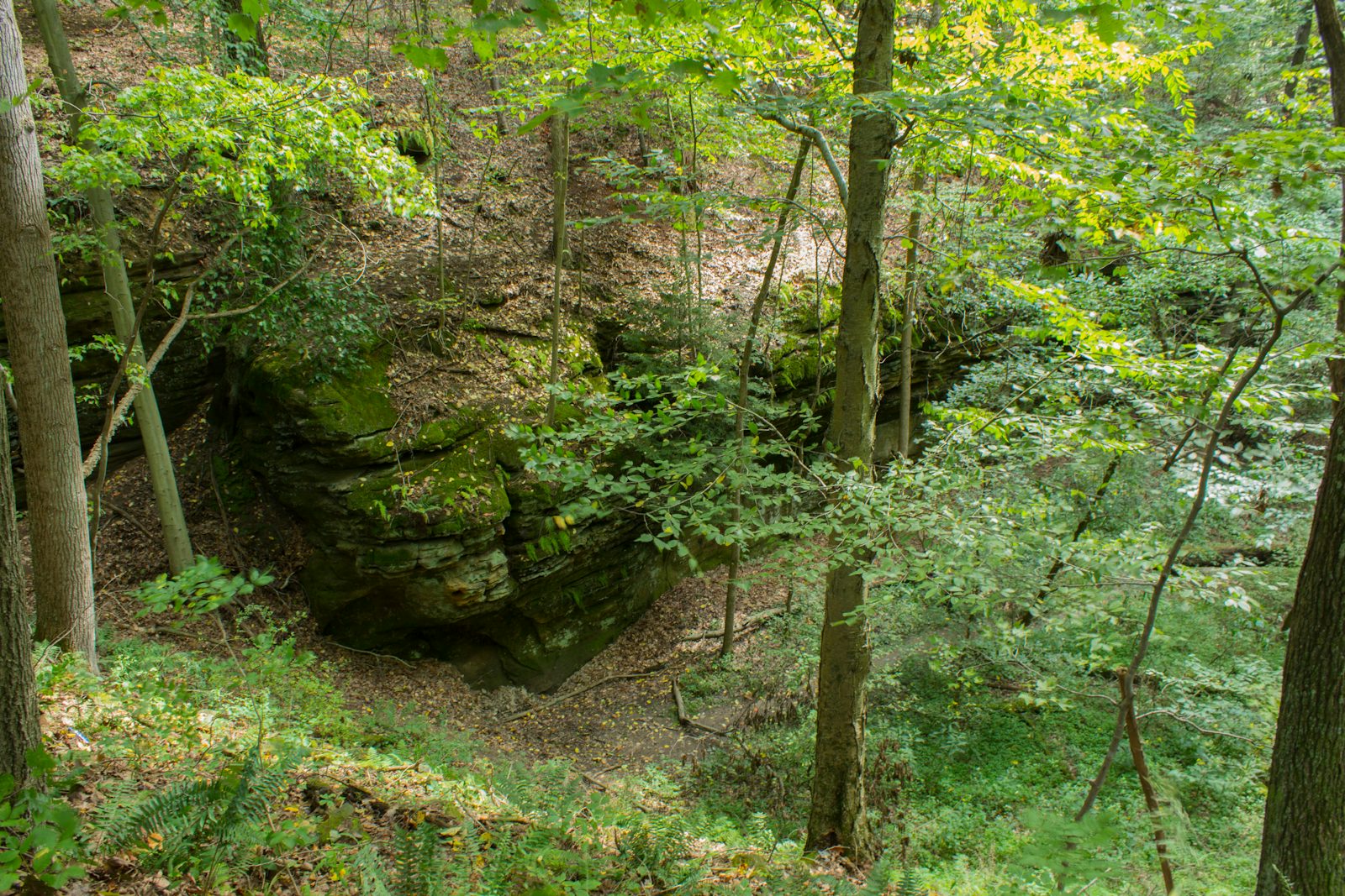 Quarry Rim-Chestnut Trail