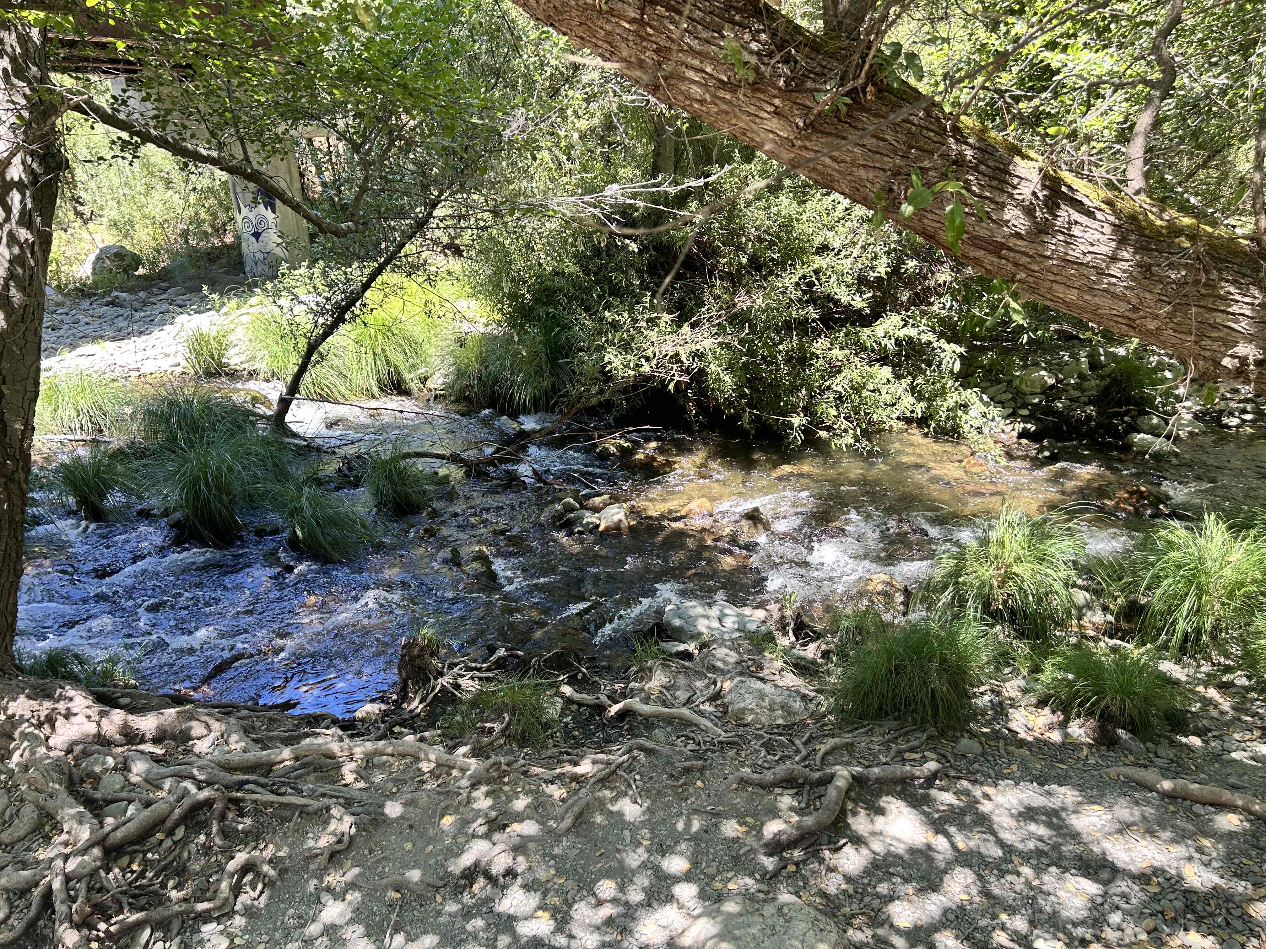 Little Yosemite via Ohlone Road