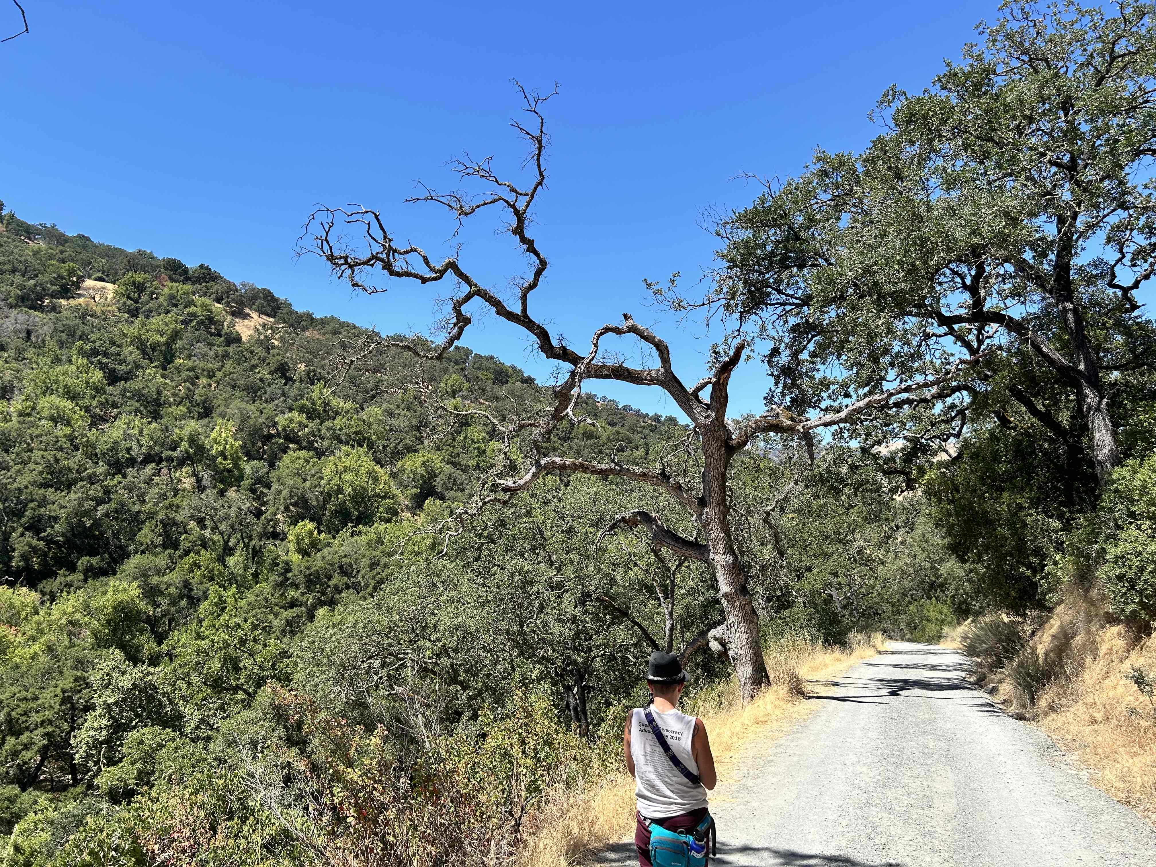 Little Yosemite via Ohlone Road