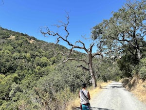 Little Yosemite via Ohlone Road
