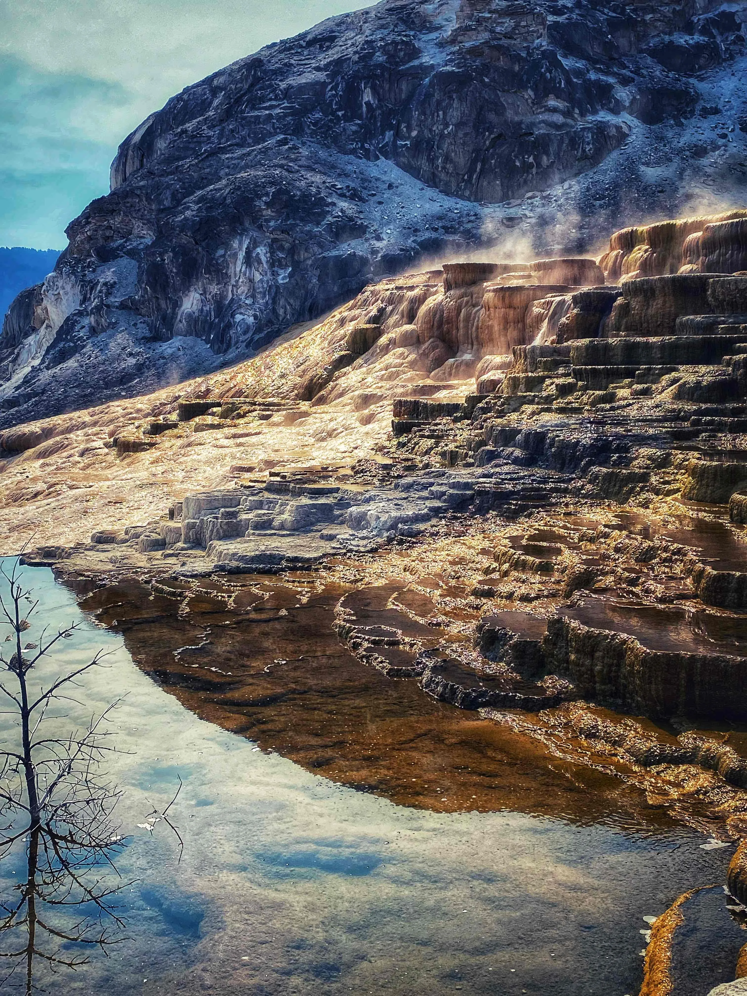 Mammoth Hot Springs