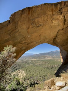 Rifle Arch