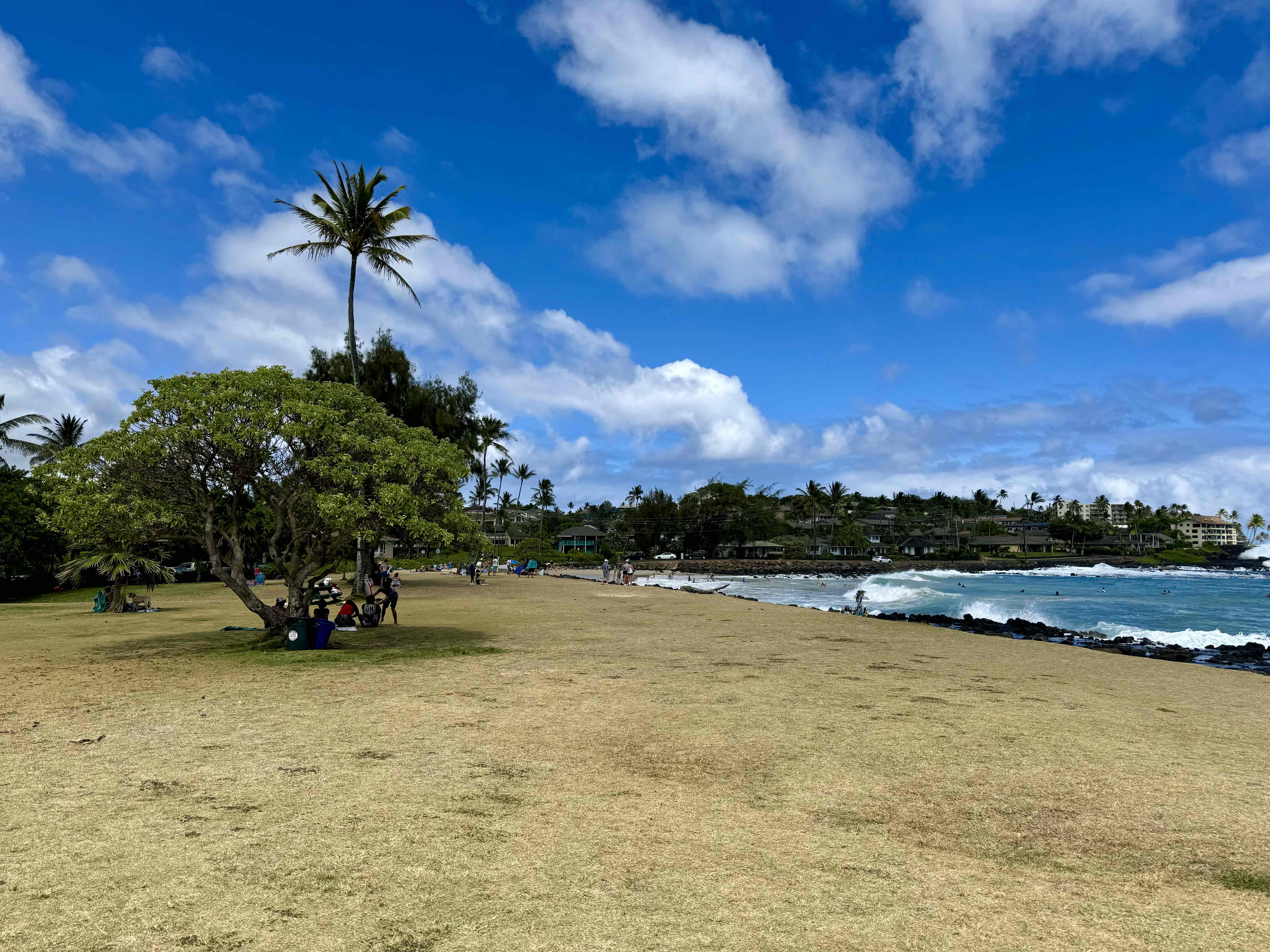 Brennecke Beach Trail