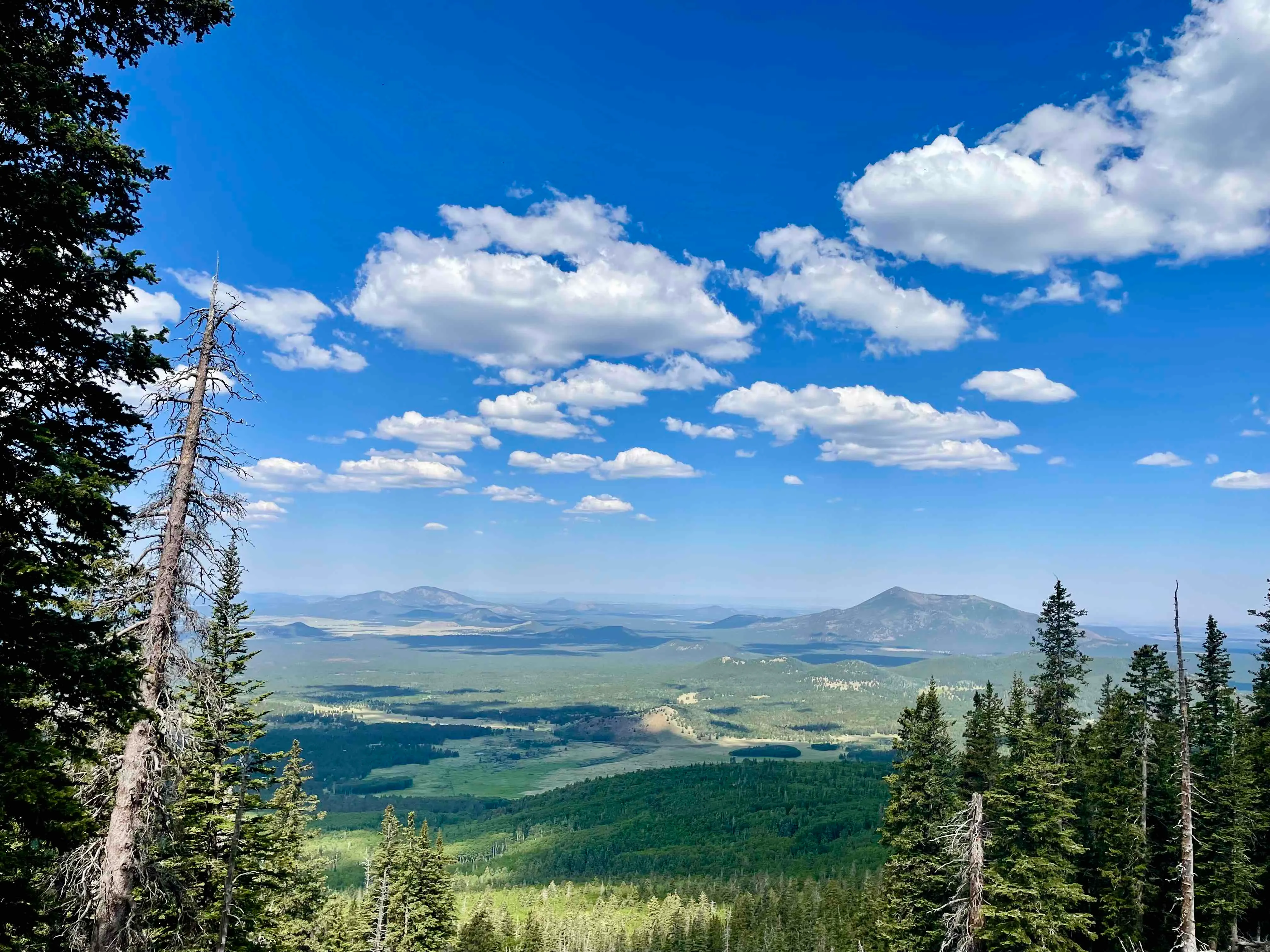 Humphreys Peak Summit 