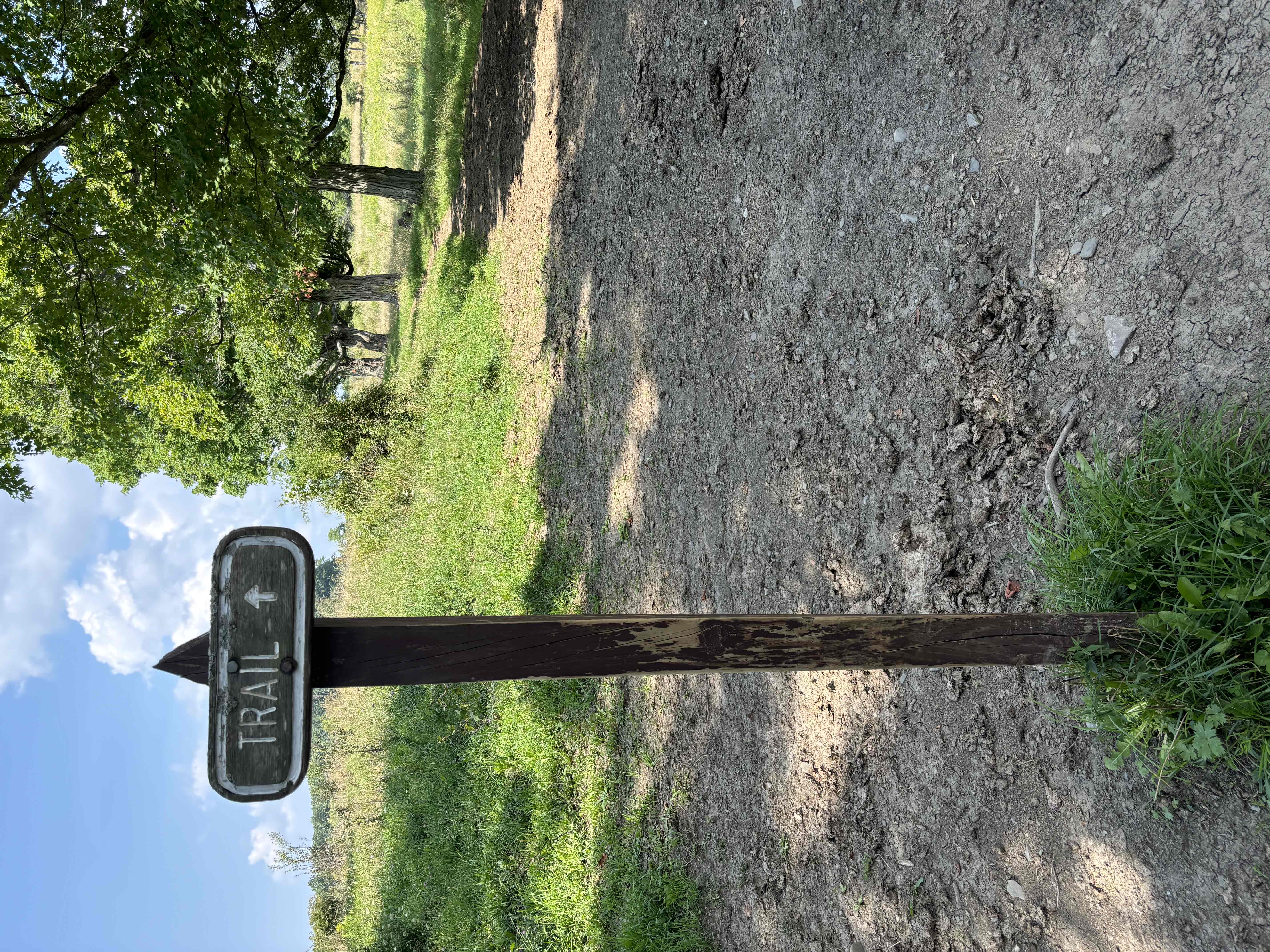 Interloken Trail